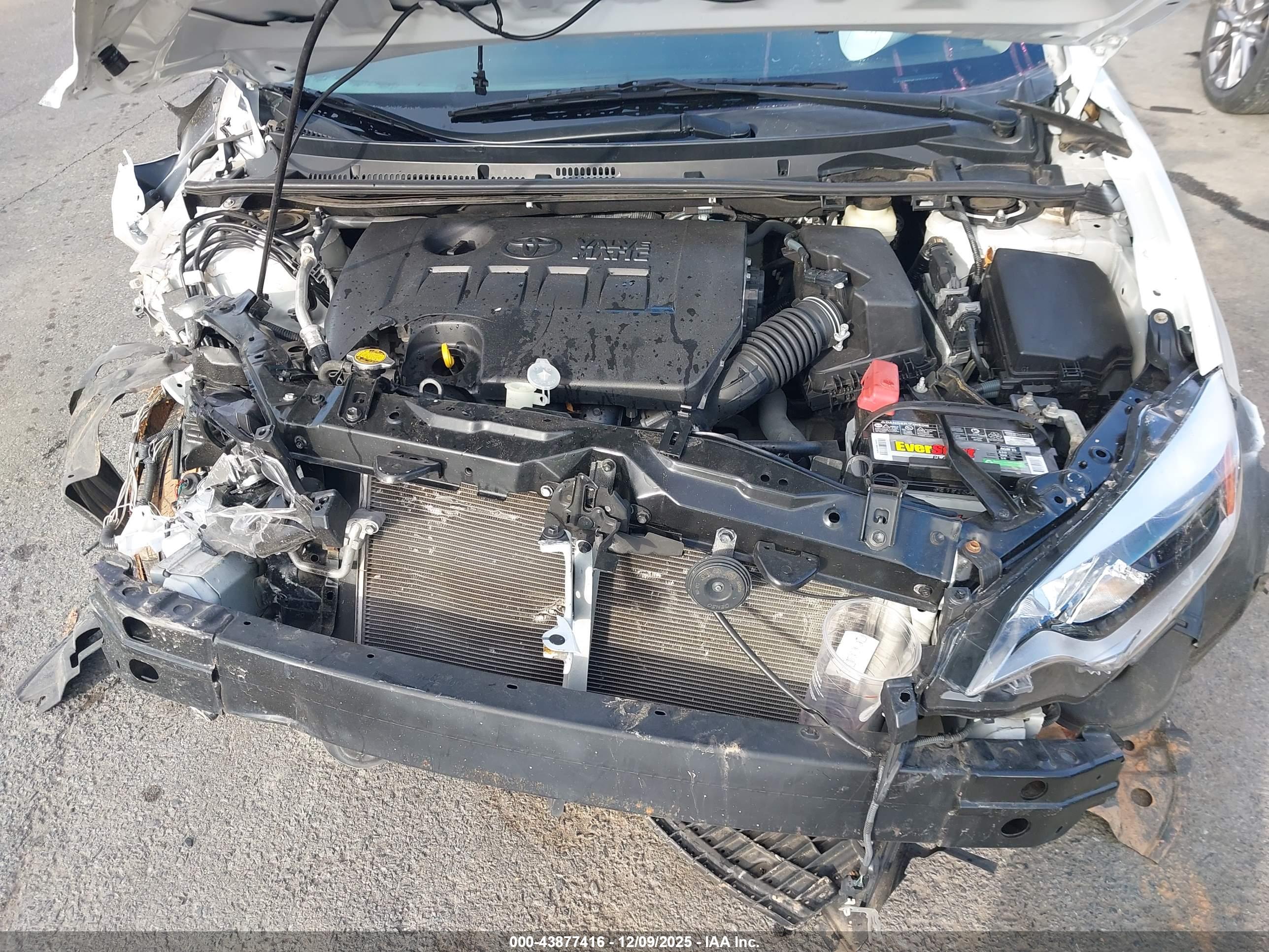 TOYOTA COROLLA image 10