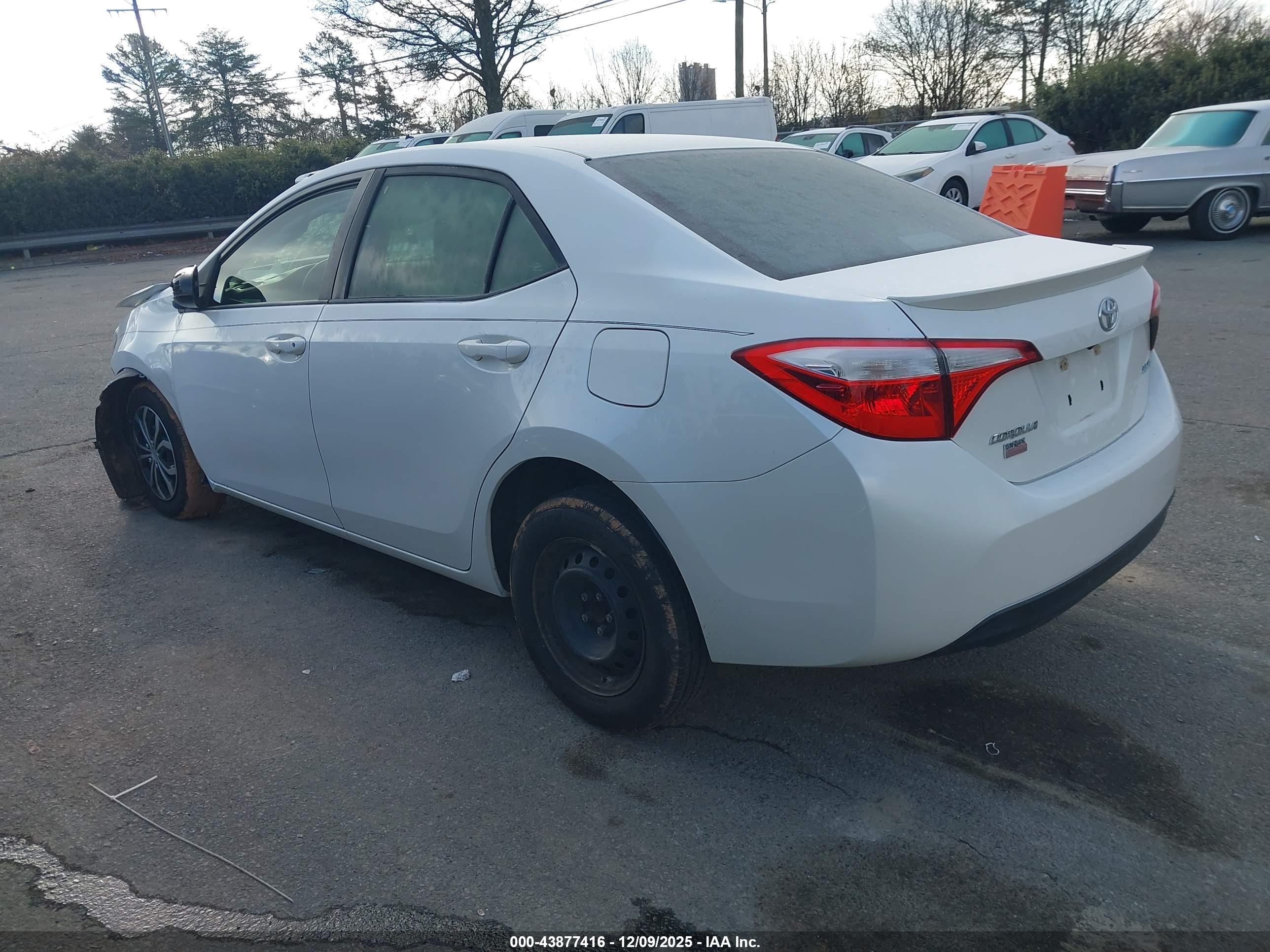 TOYOTA COROLLA image 3