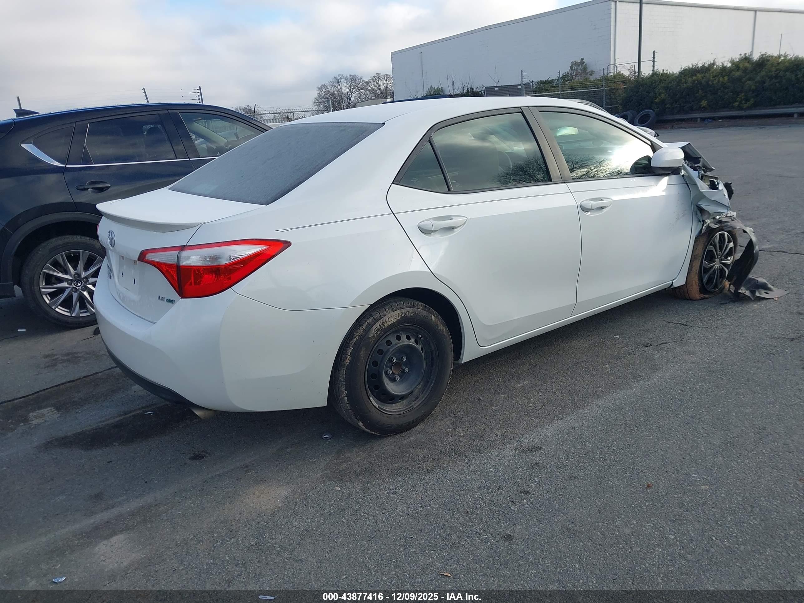 TOYOTA COROLLA image 4