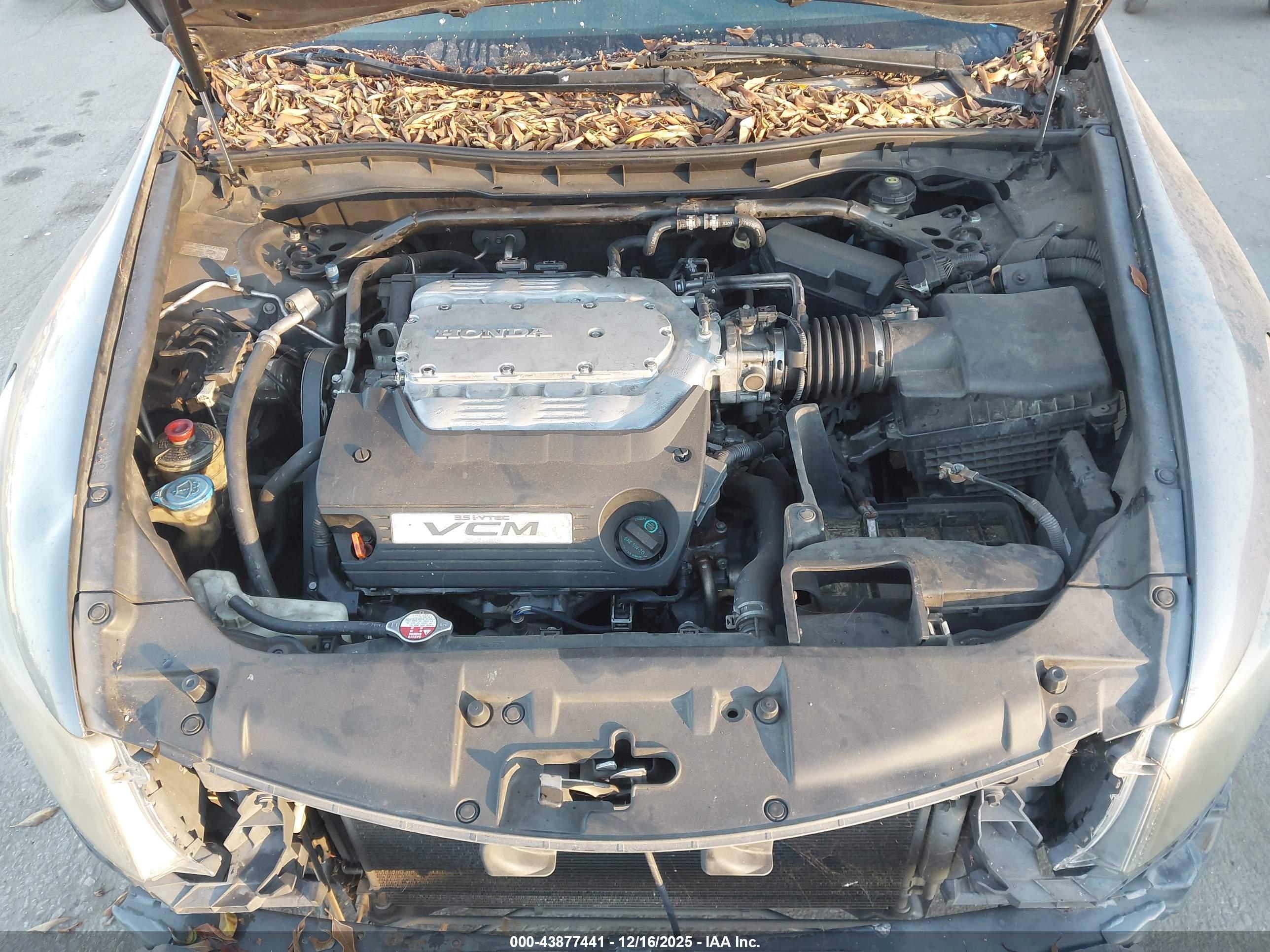 HONDA ACCORD image 10