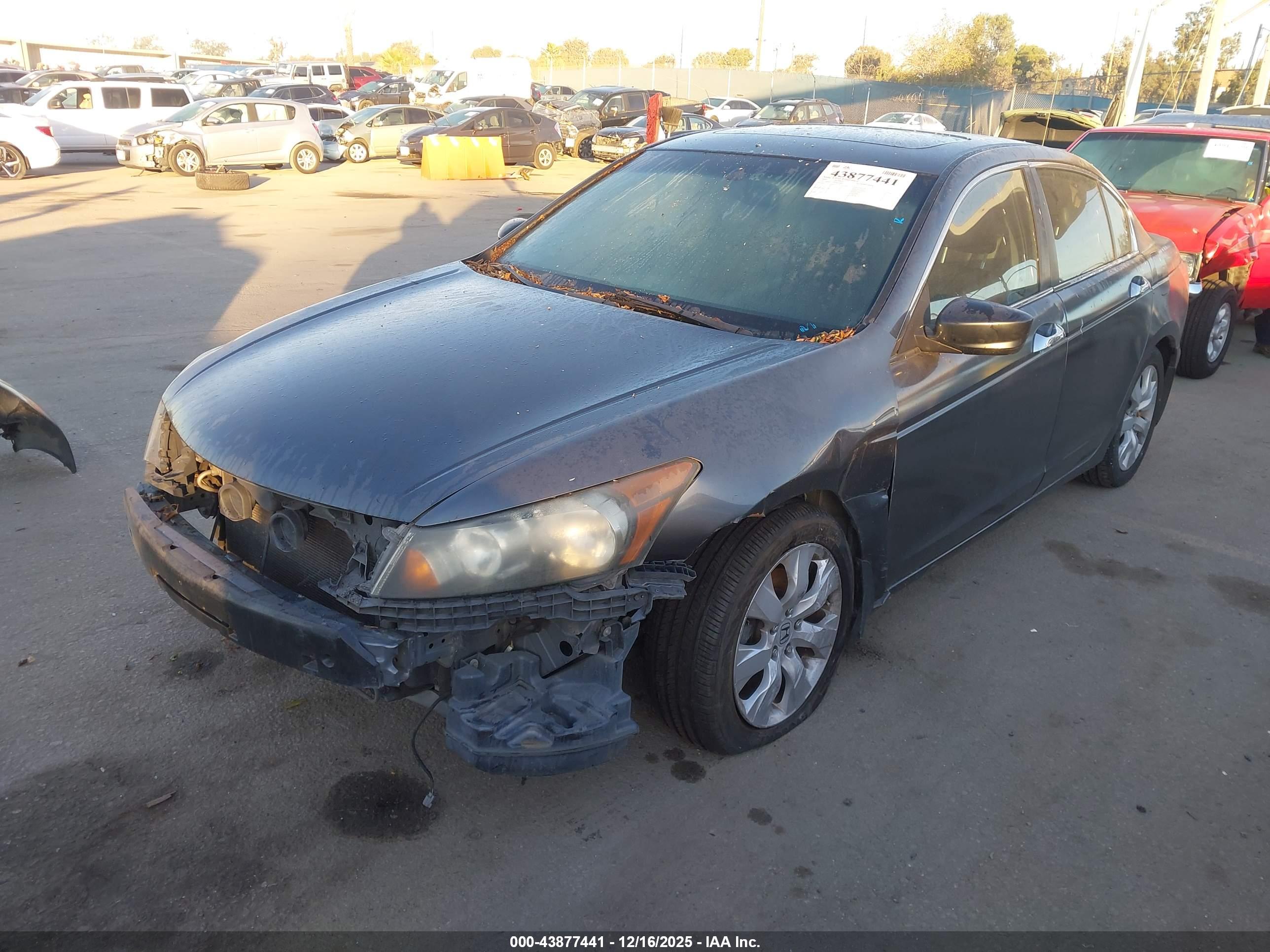 HONDA ACCORD image 2