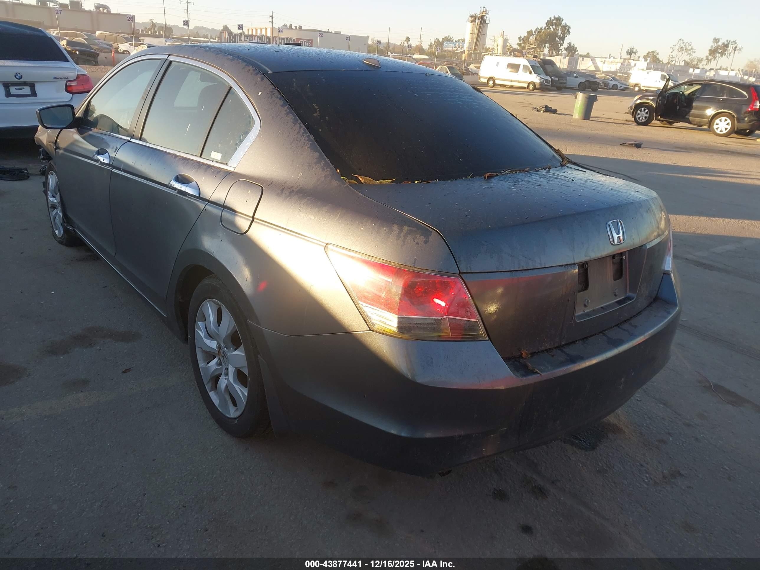 HONDA ACCORD image 3
