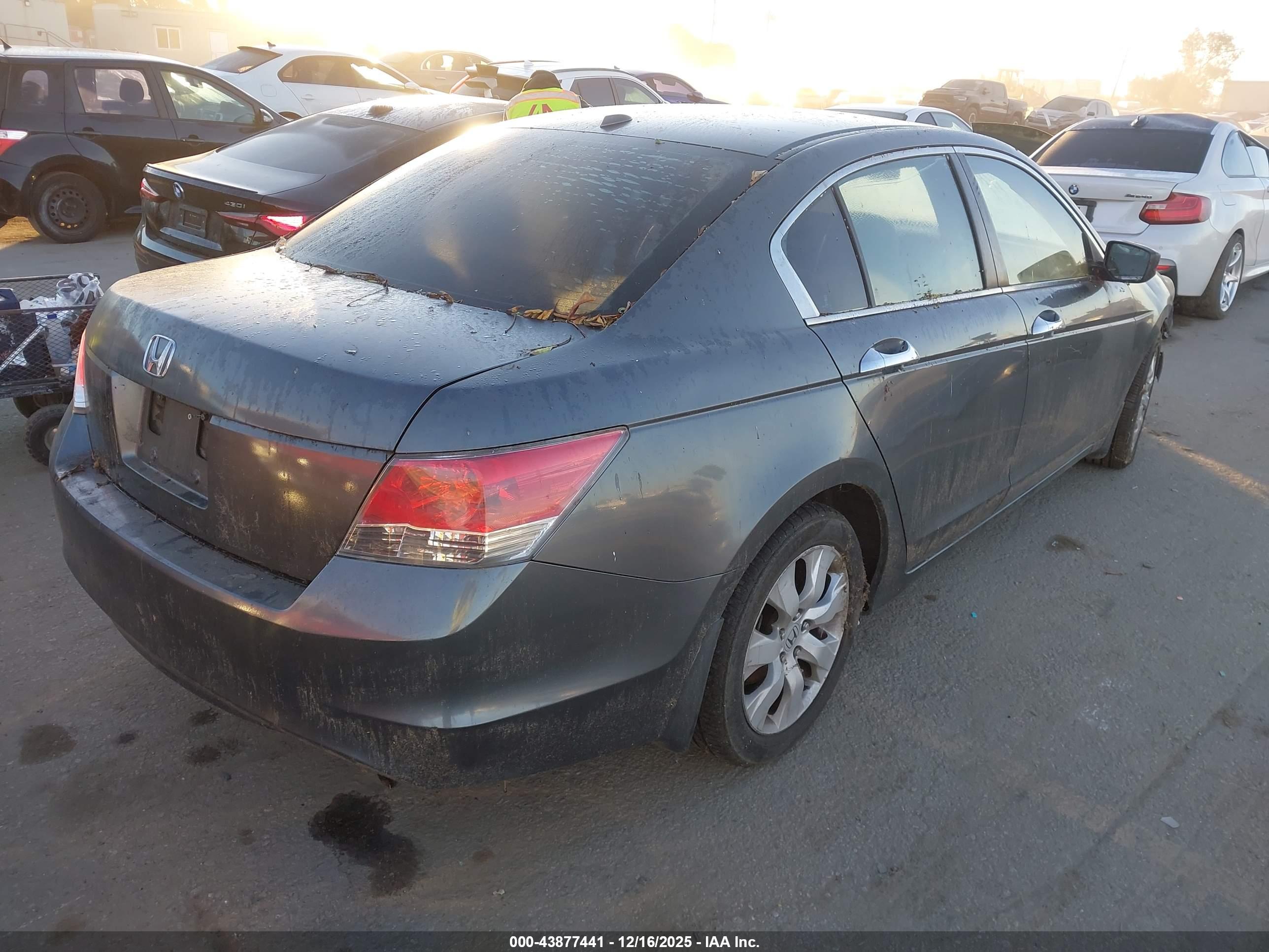 HONDA ACCORD image 4
