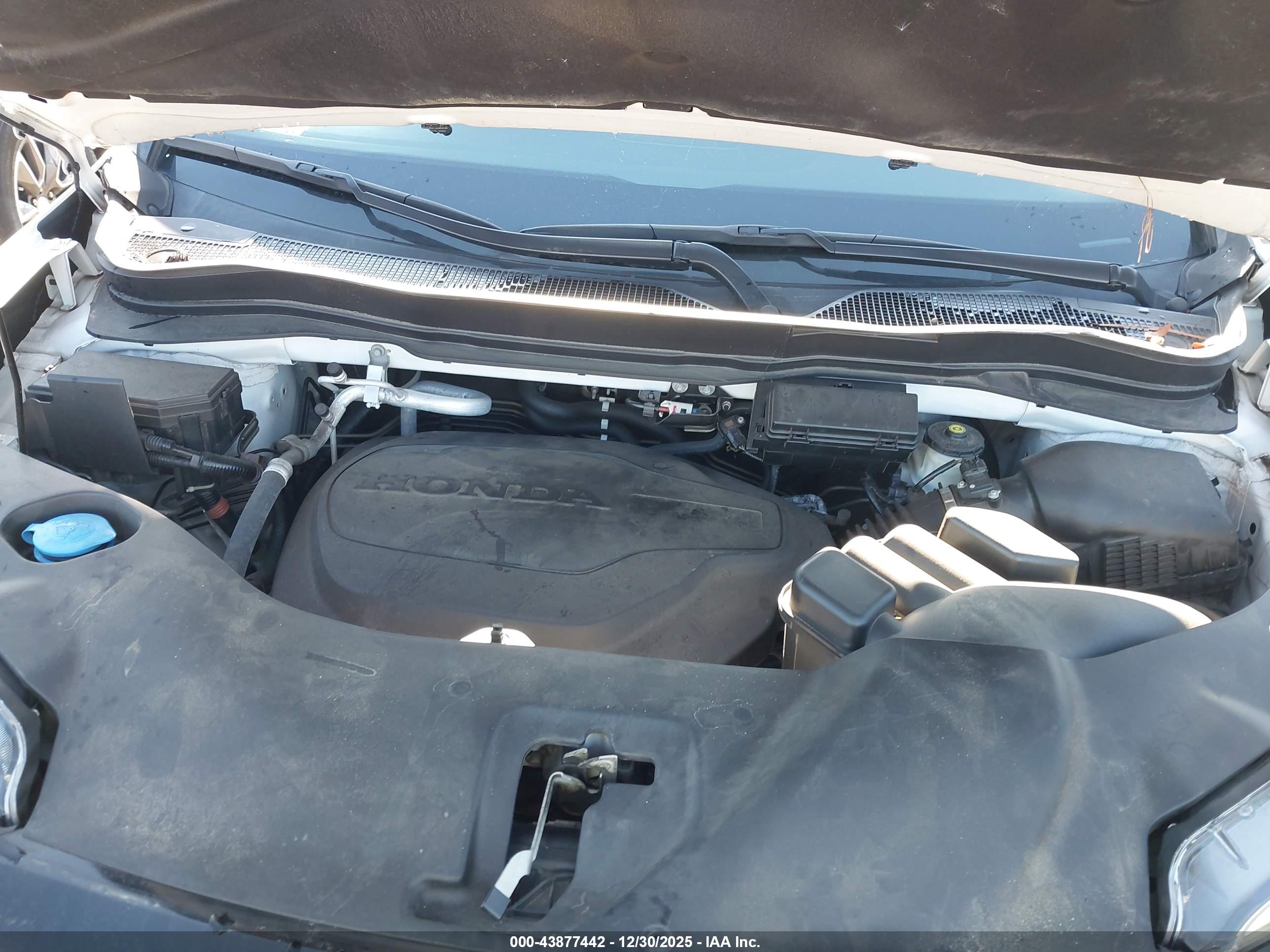 HONDA PILOT image 10