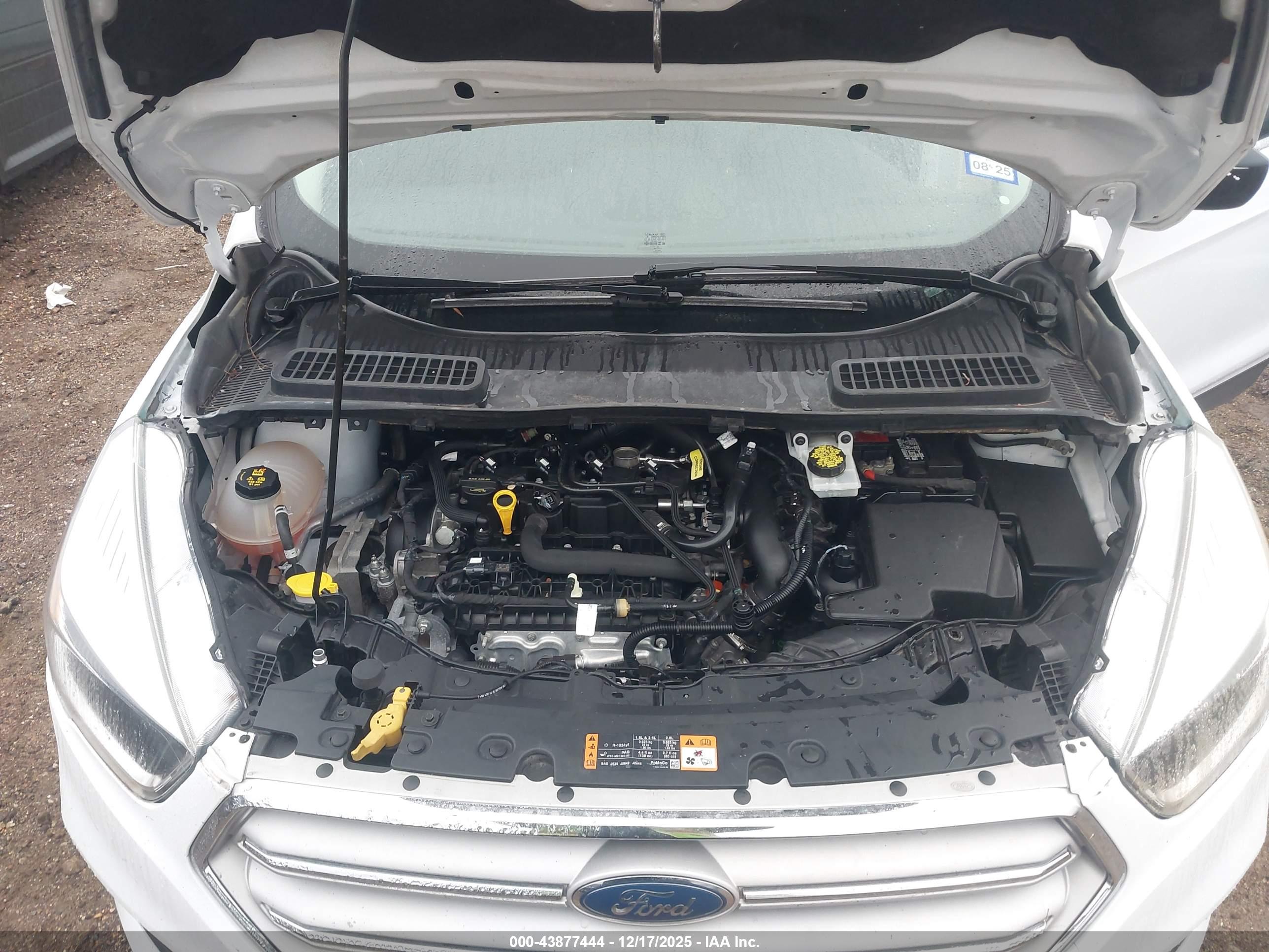 FORD ESCAPE image 10