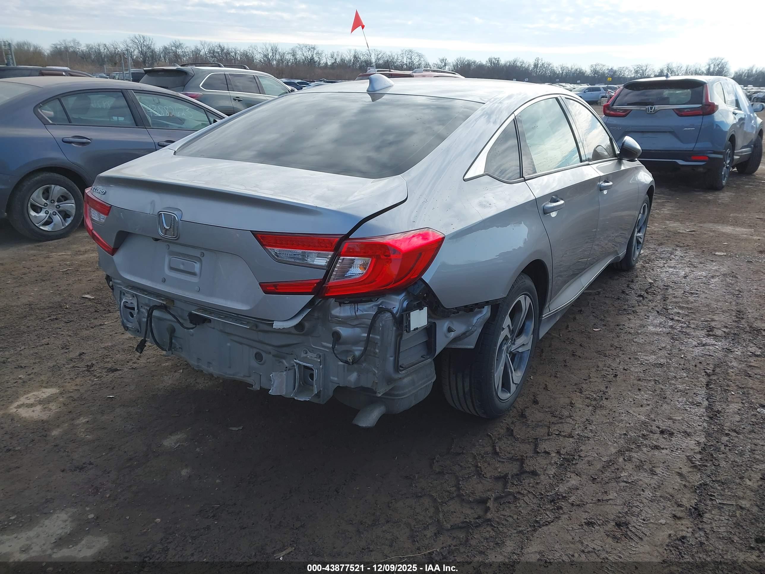 HONDA ACCORD image 4