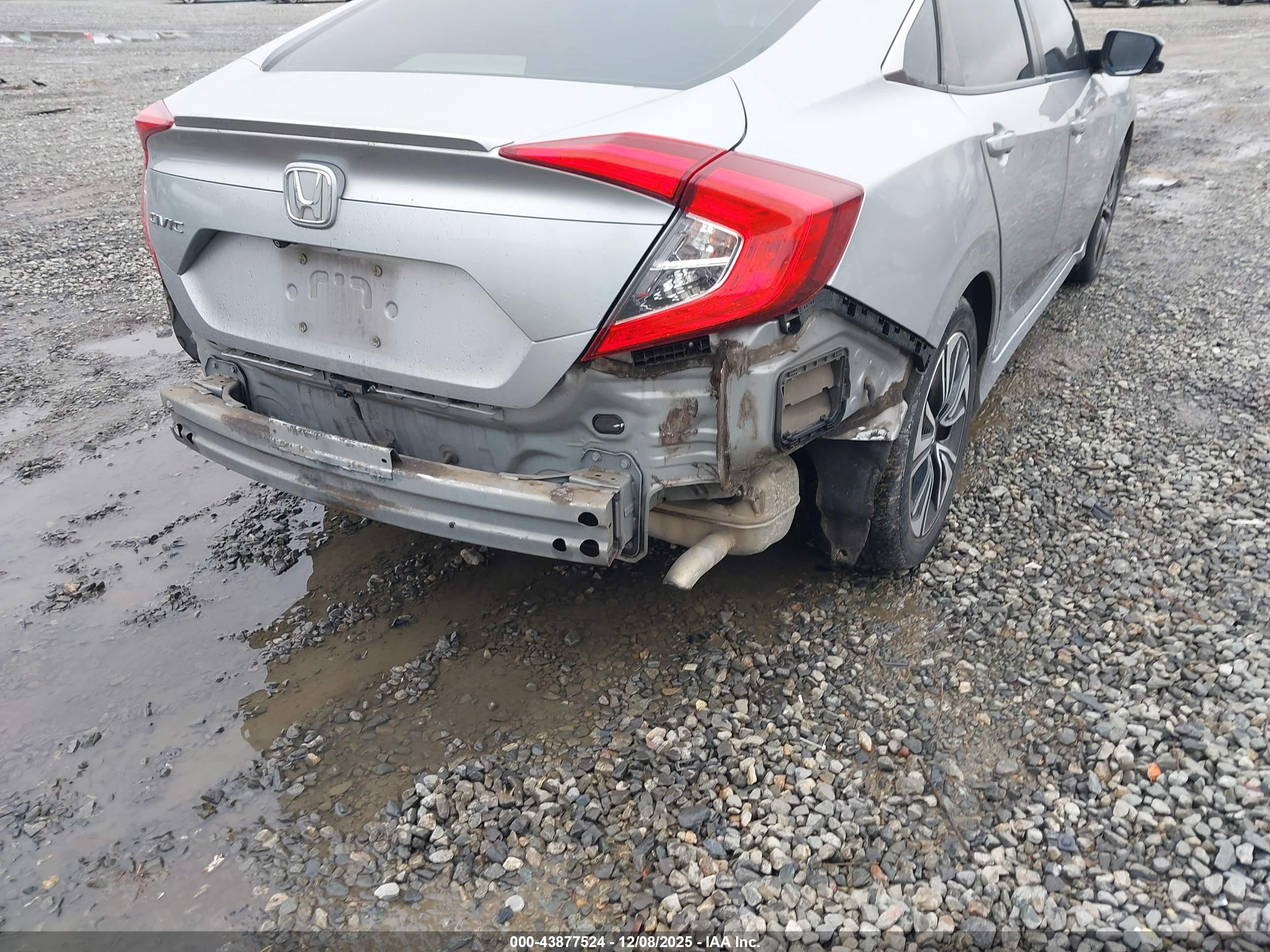 HONDA CIVIC image 6