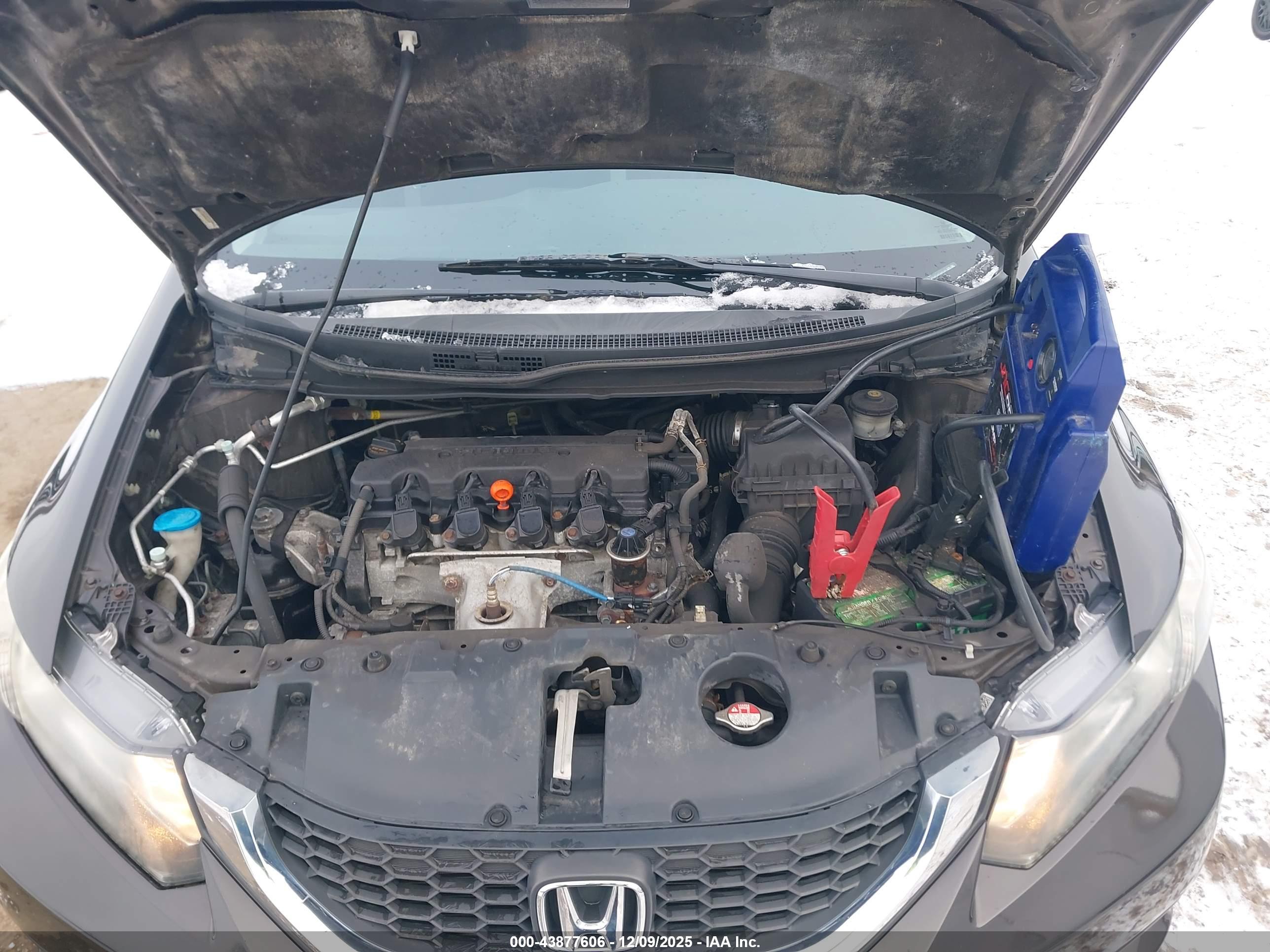 HONDA CIVIC image 10