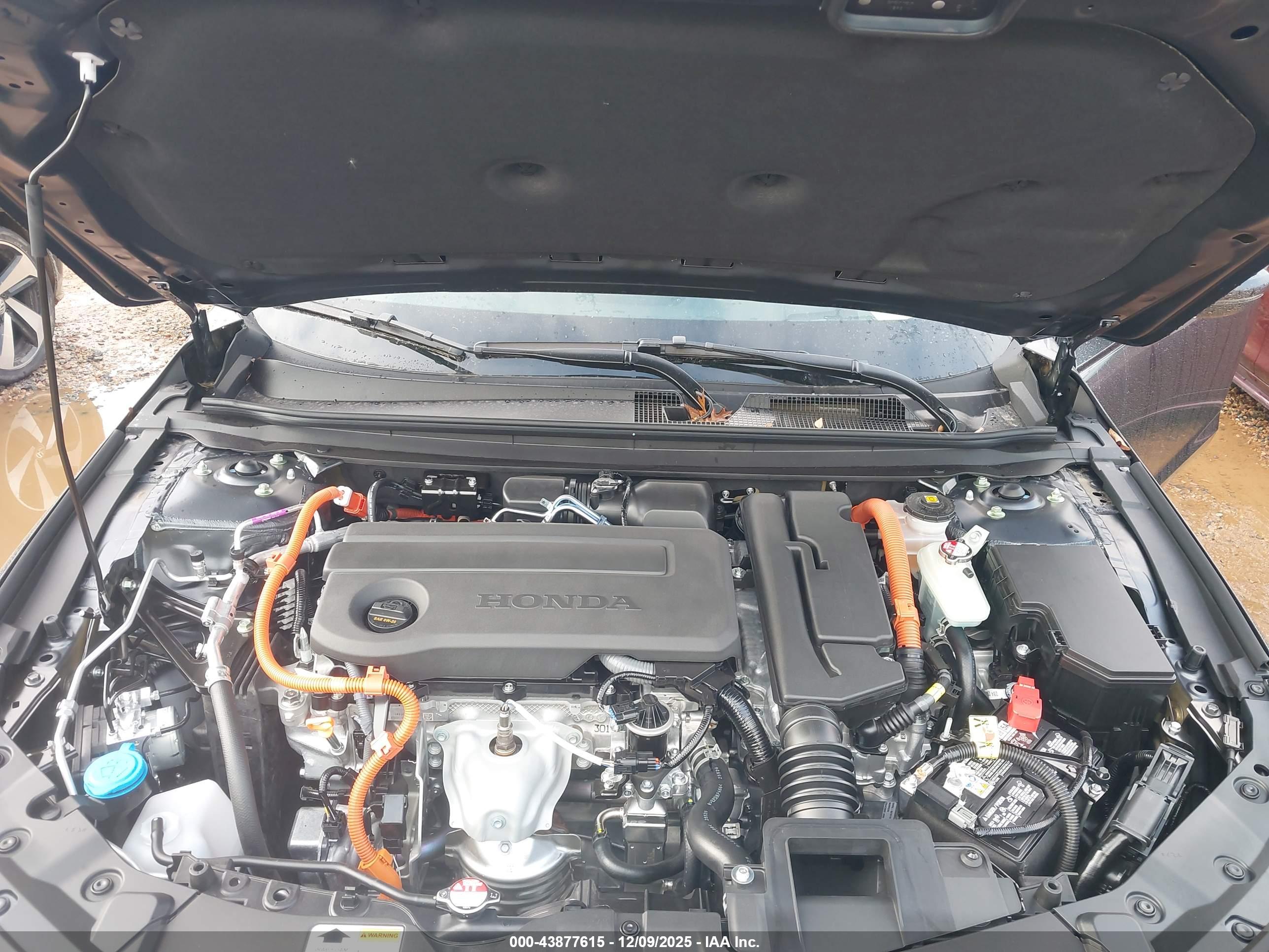 HONDA ACCORD image 10