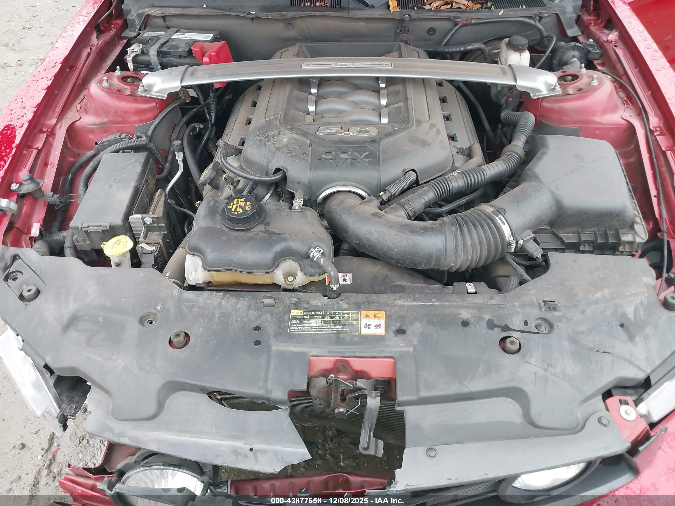 FORD MUSTANG image 10