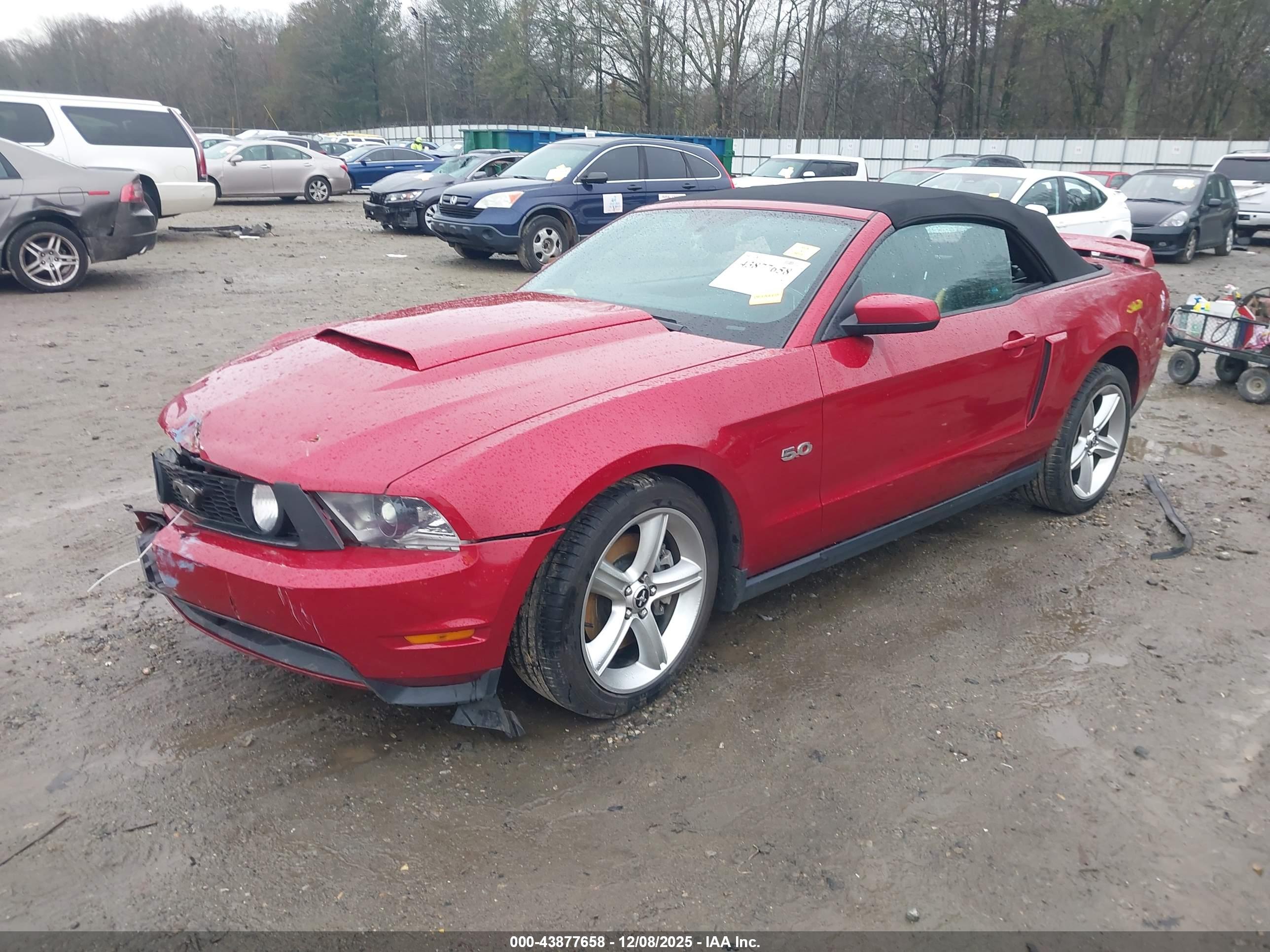 FORD MUSTANG image 2