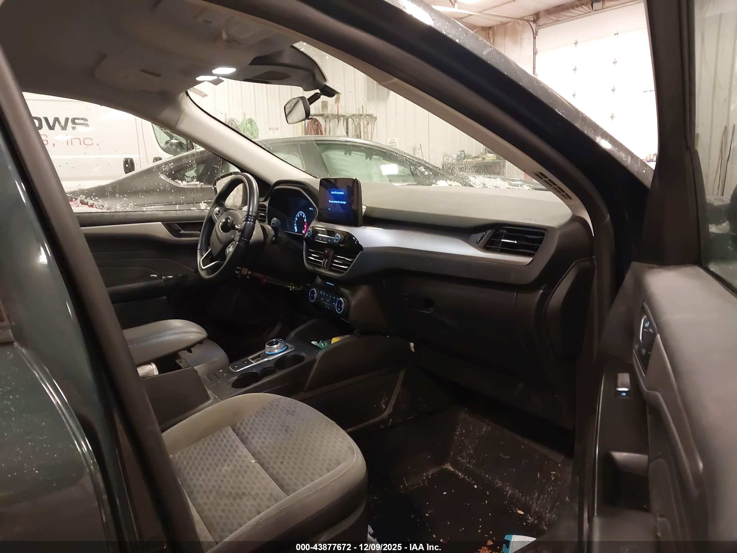 FORD ESCAPE image 5