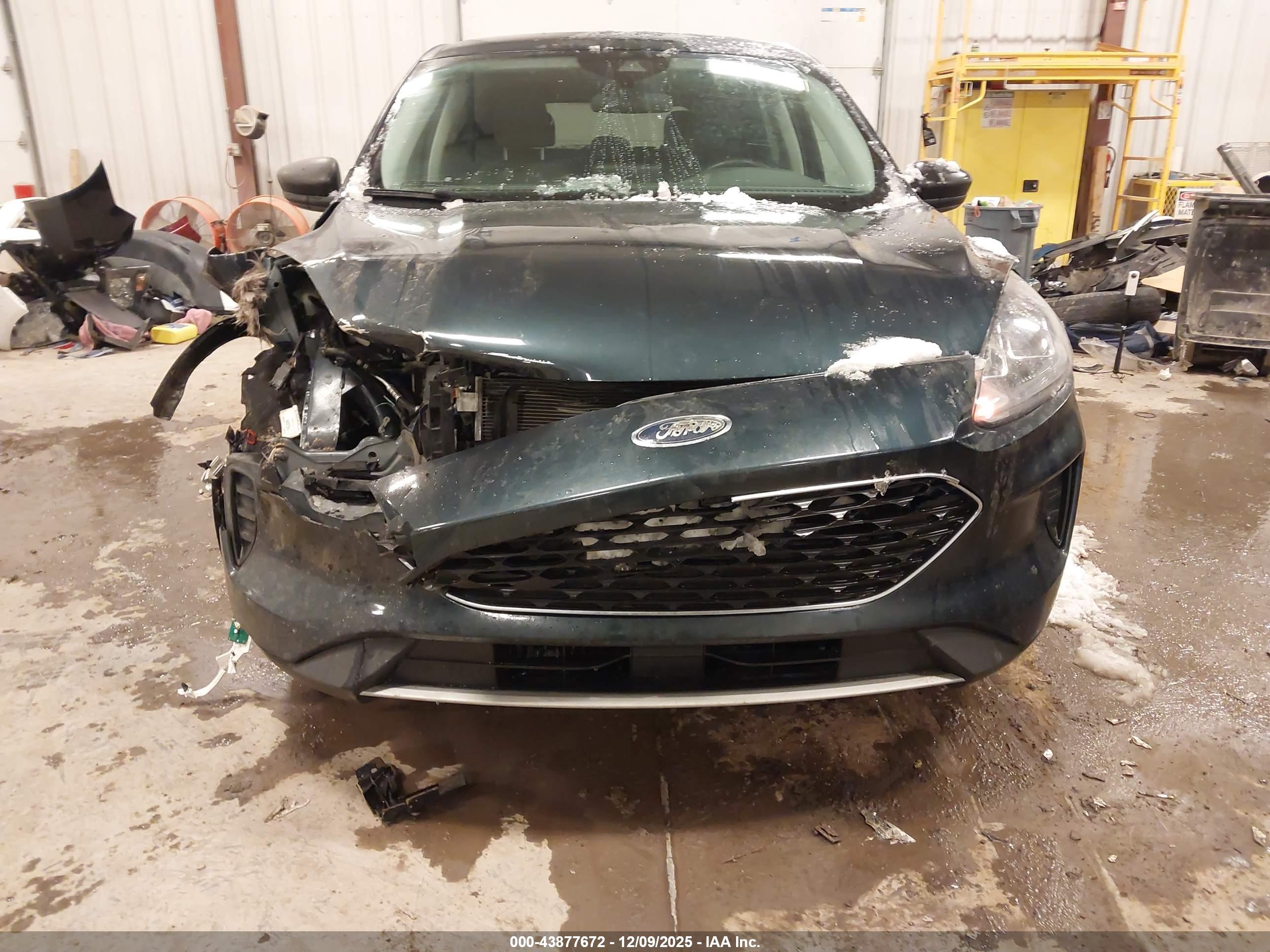 FORD ESCAPE image 6