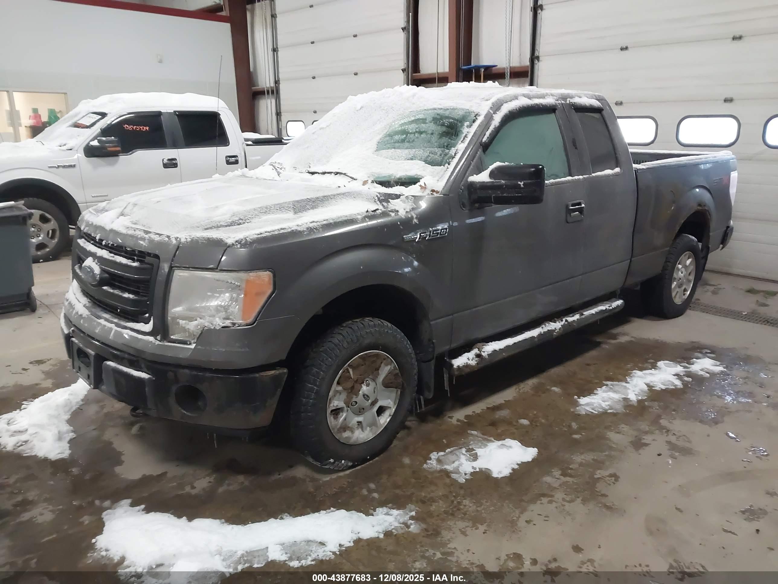 FORD F-150 image 2
