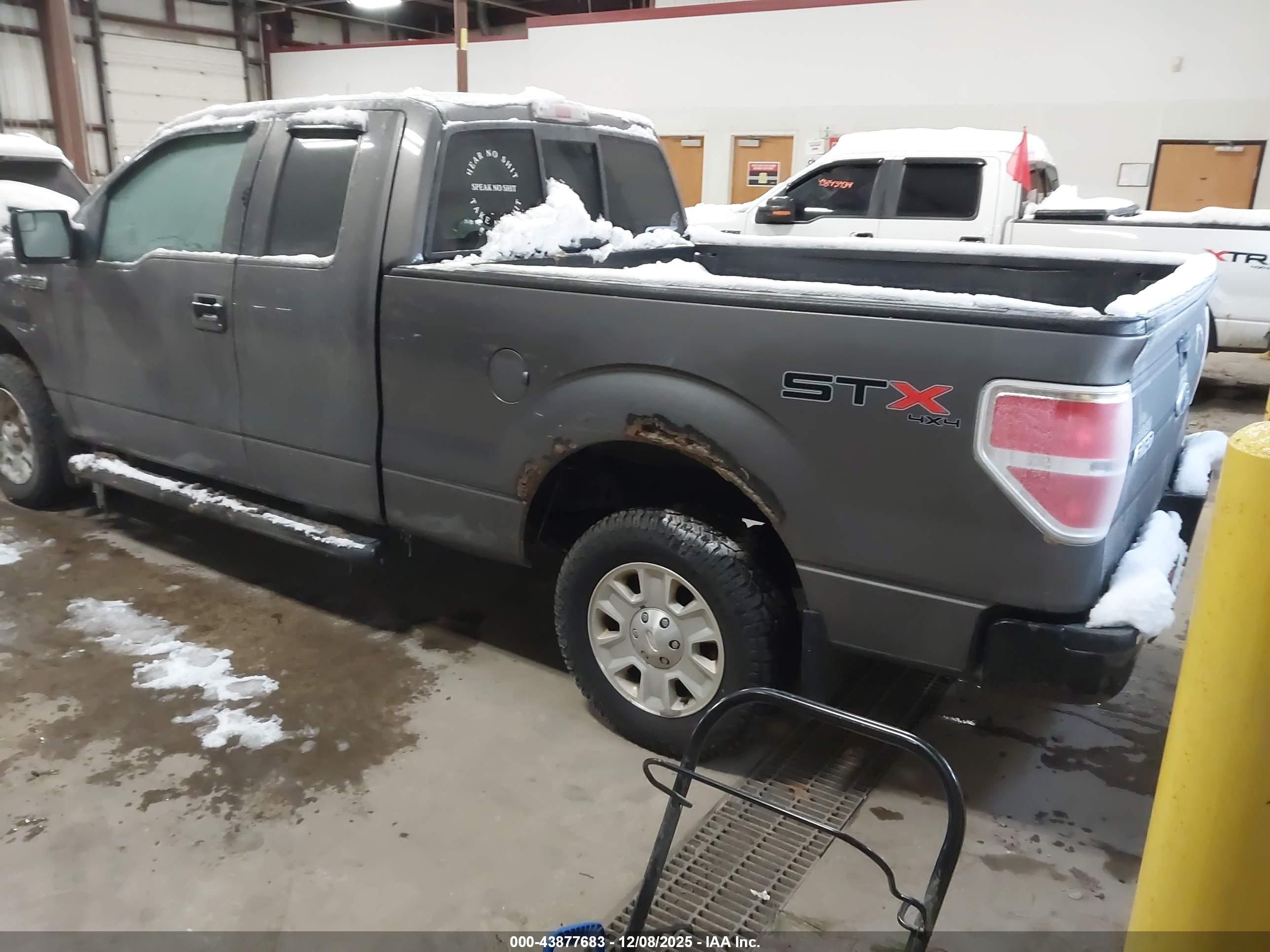 FORD F-150 image 3