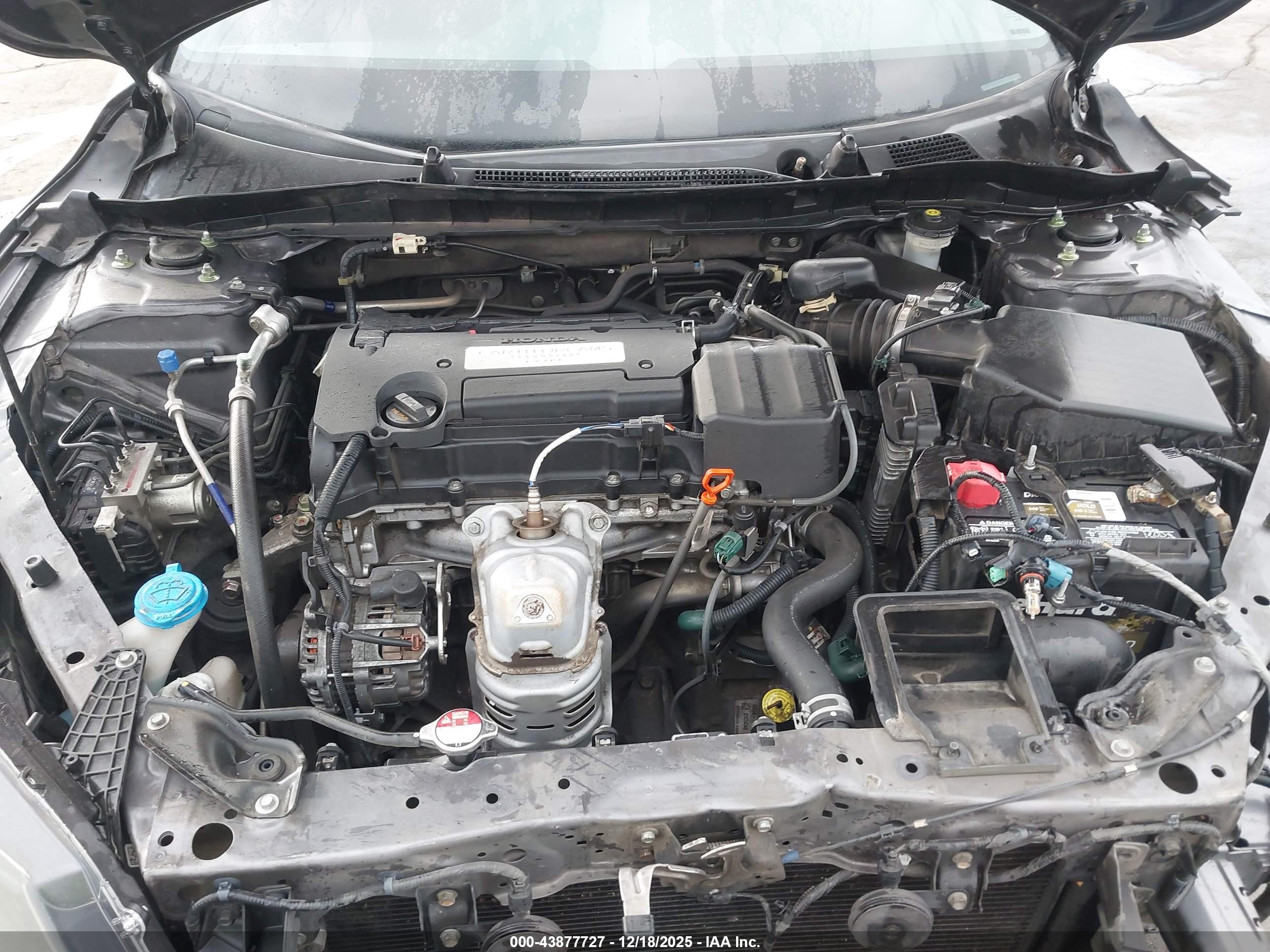 HONDA ACCORD image 10