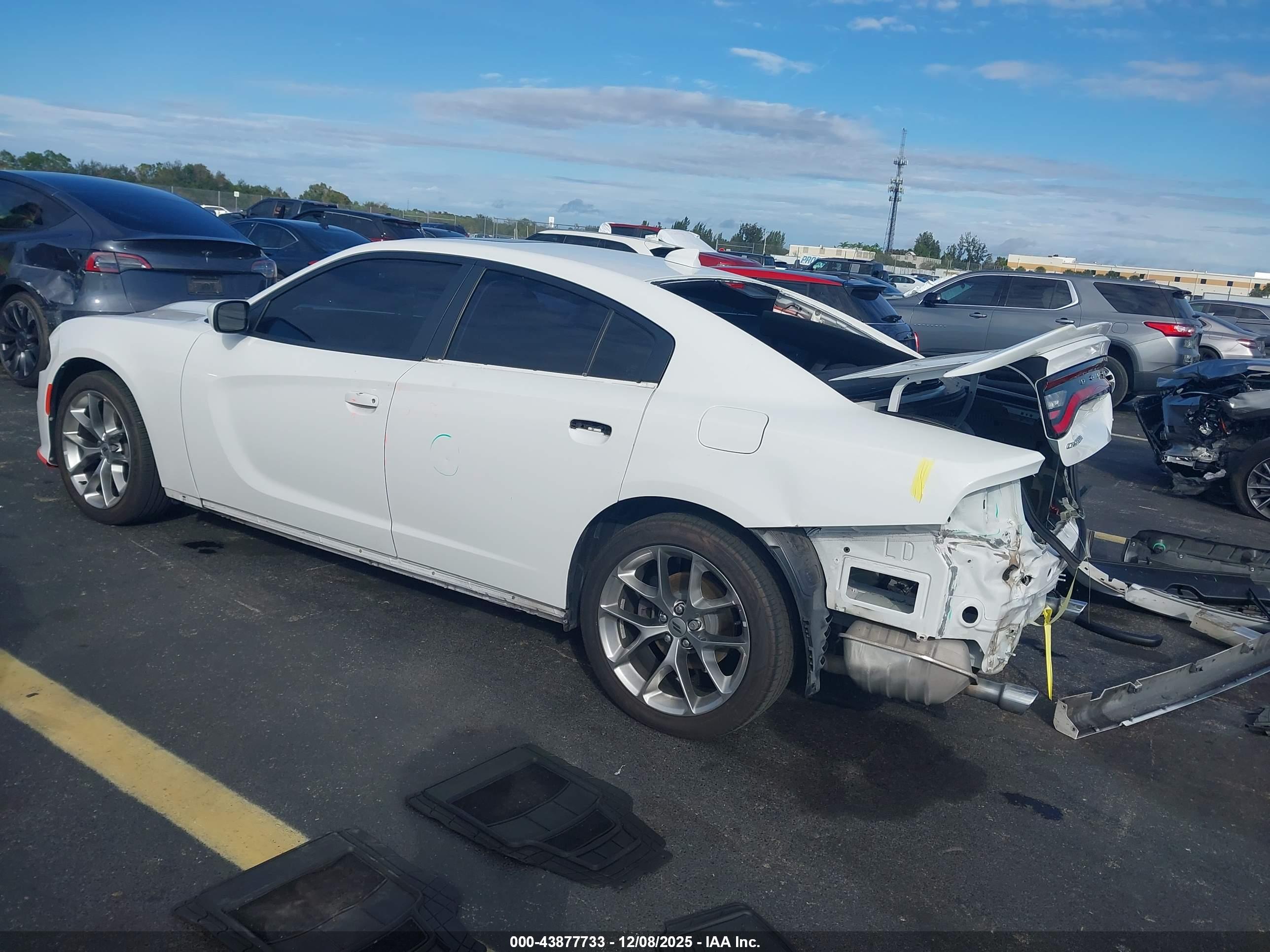 DODGE CHARGER image 3