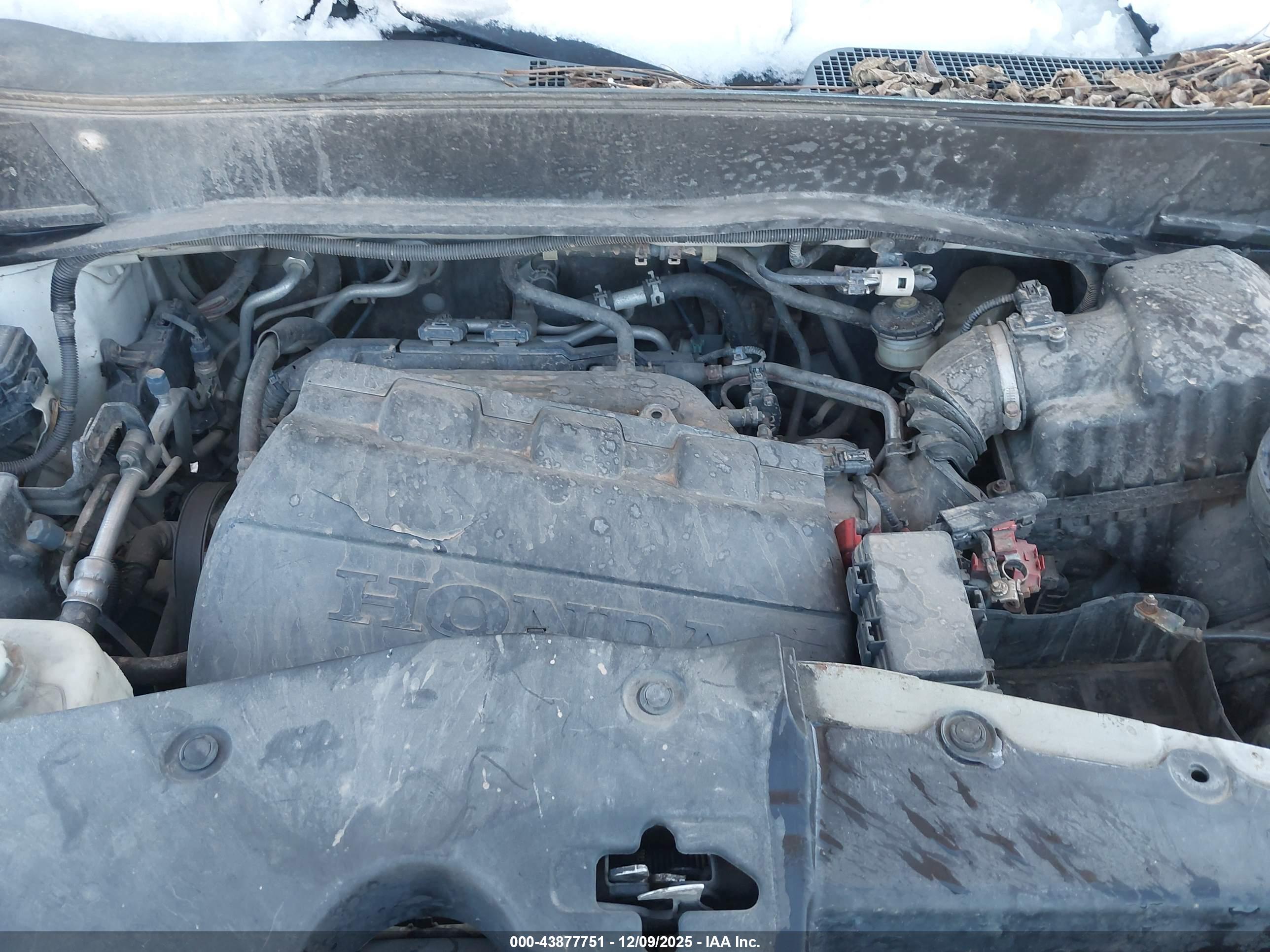 HONDA PILOT image 10