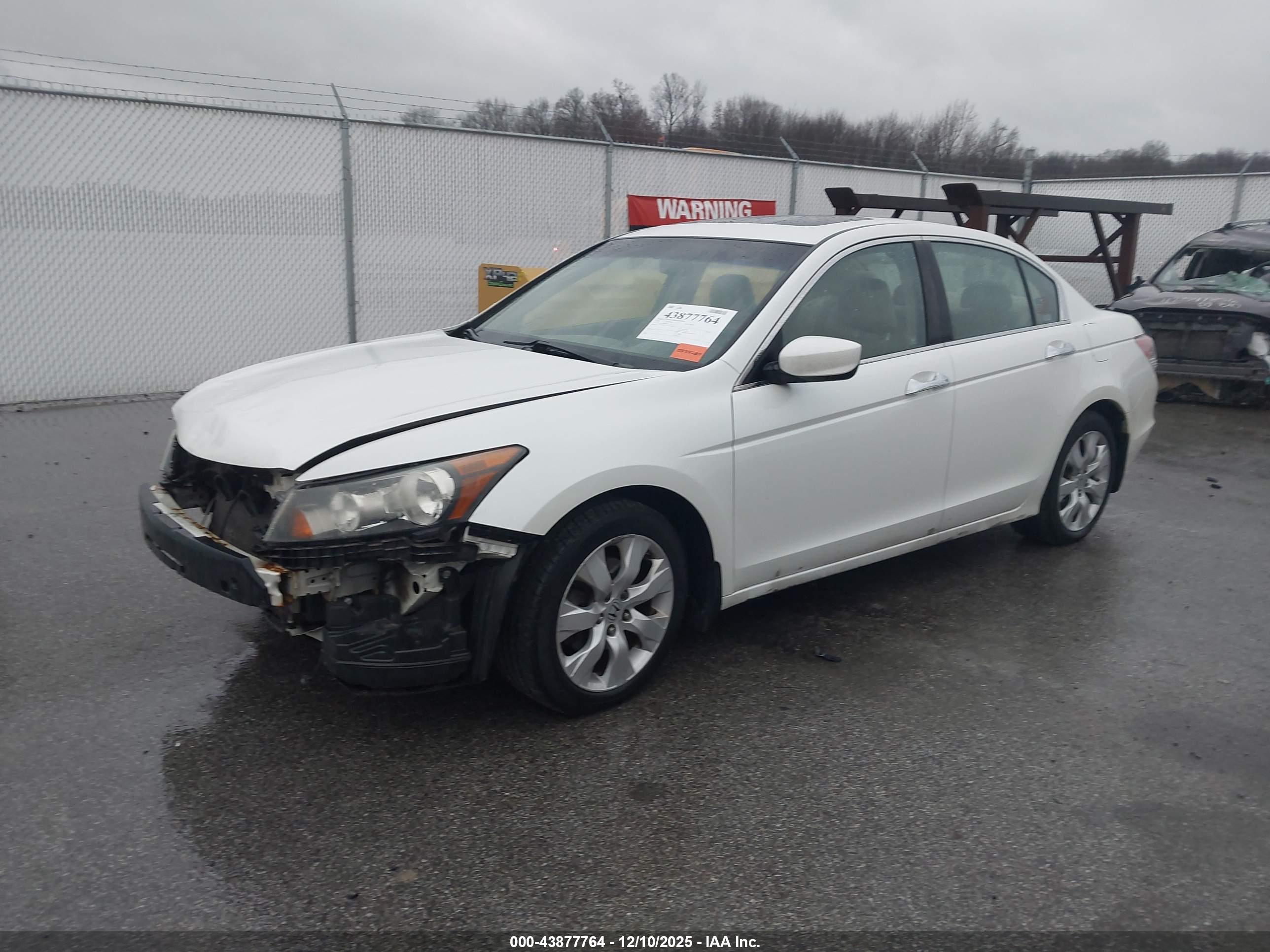 HONDA ACCORD image 2
