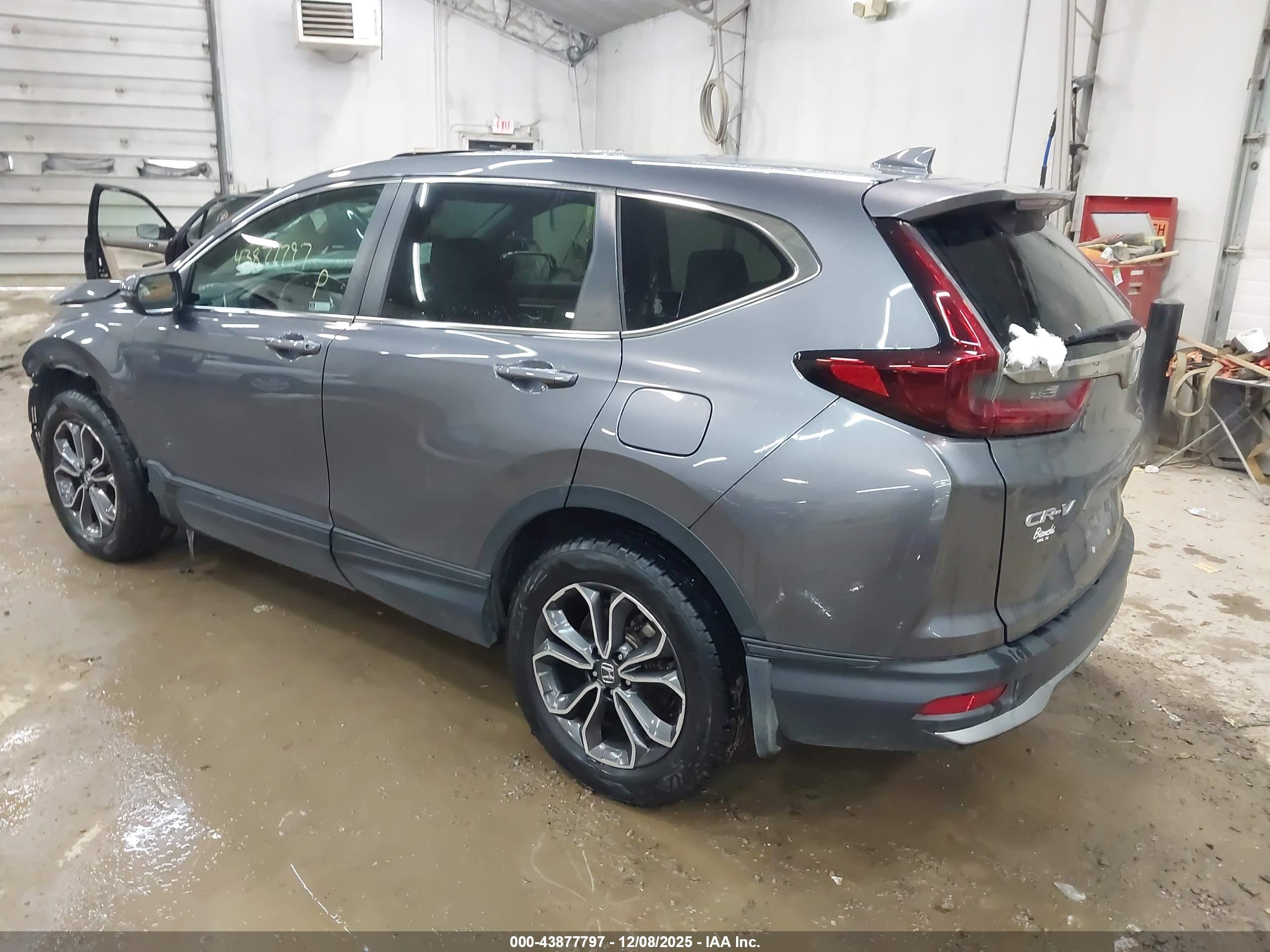 HONDA CR-V image 3