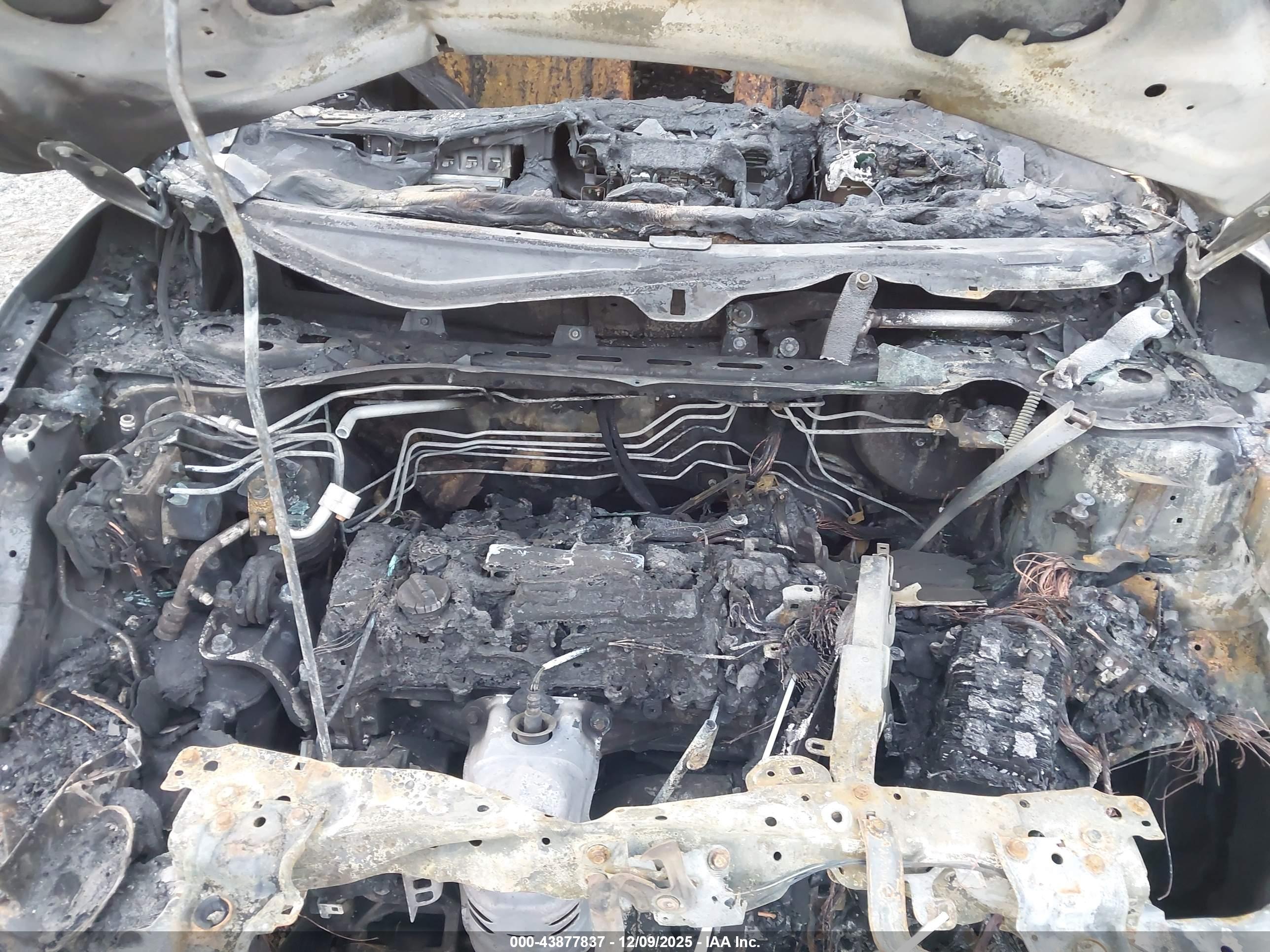 HONDA CR-V image 10
