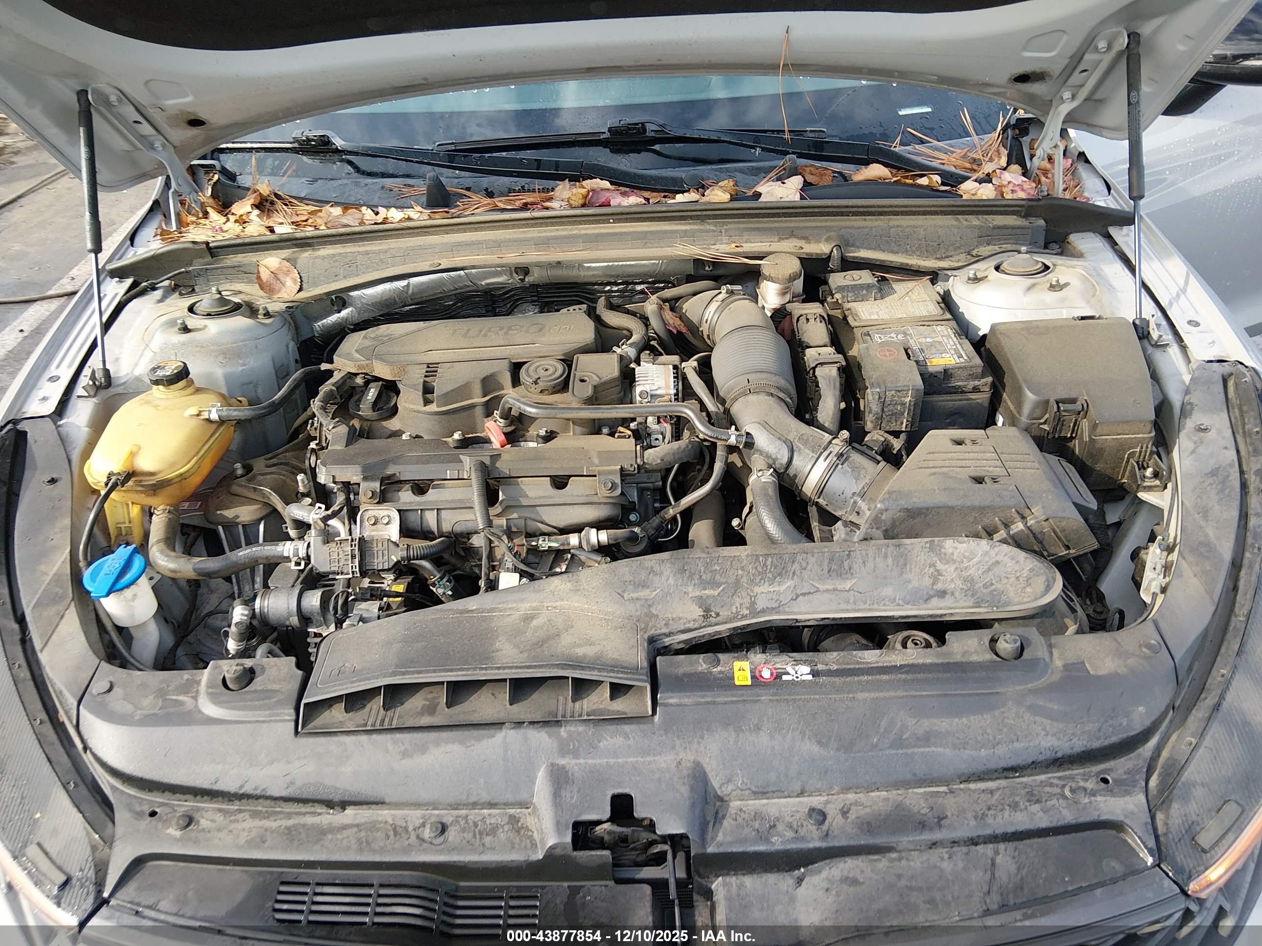 KIA K5 image 10