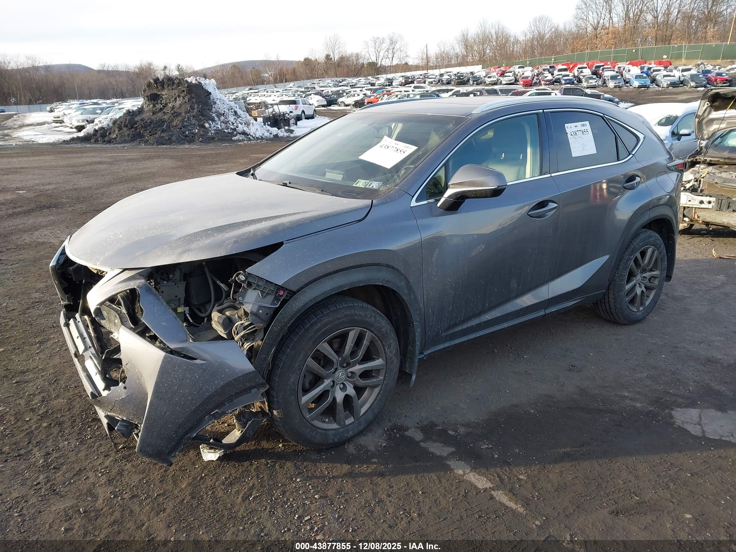 LEXUS NX image 2