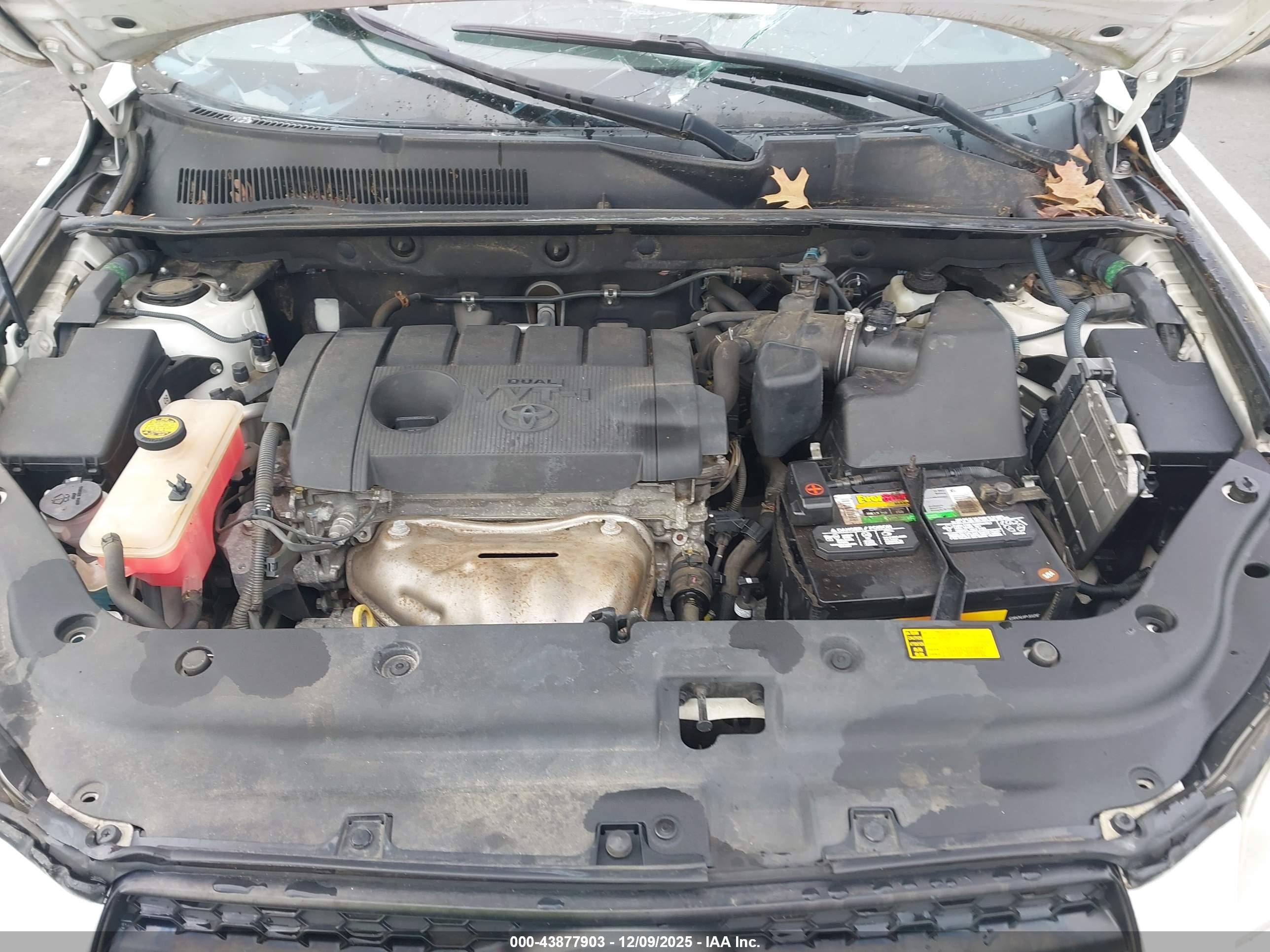 TOYOTA RAV4 image 10