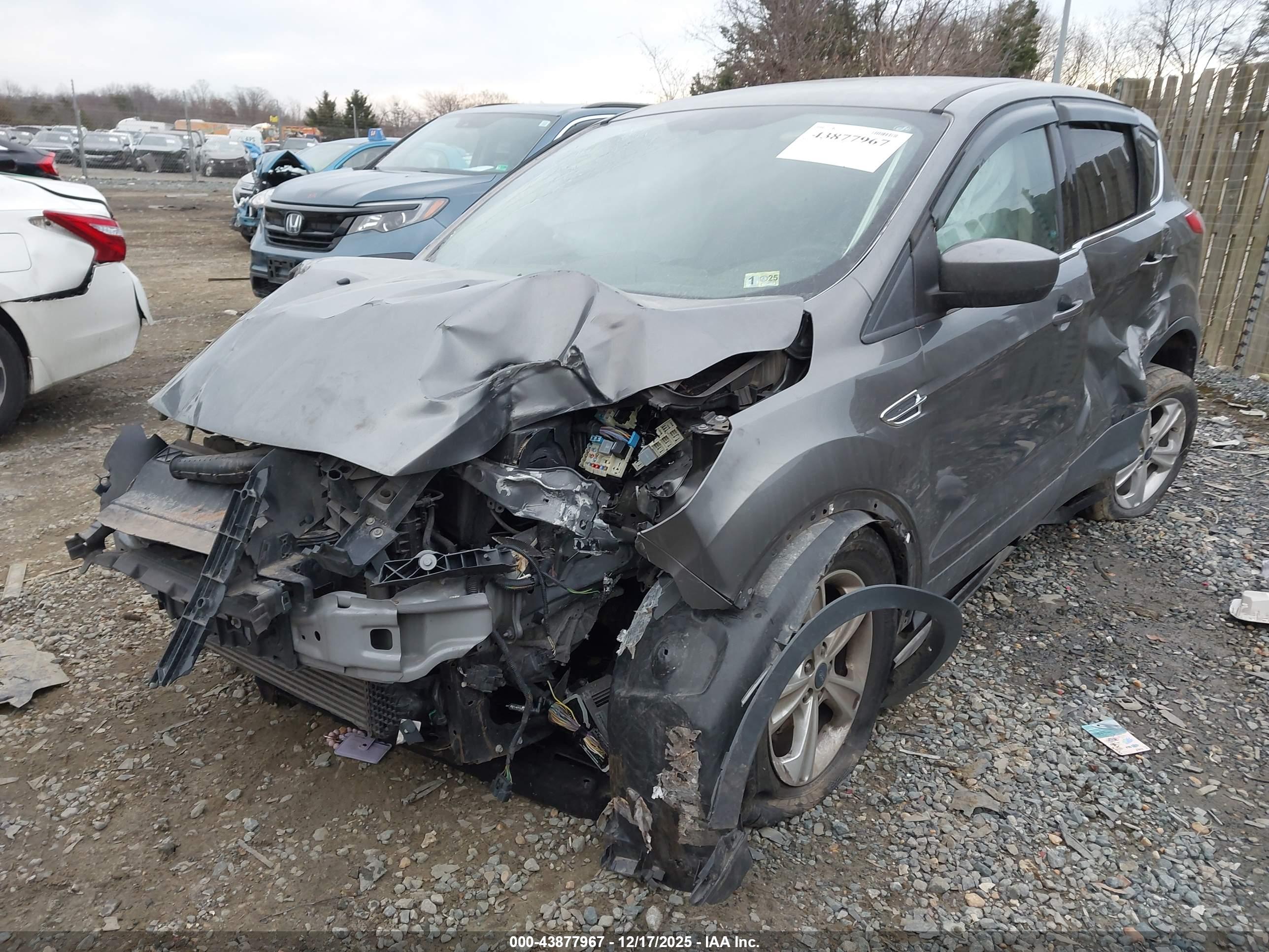 FORD ESCAPE image 2