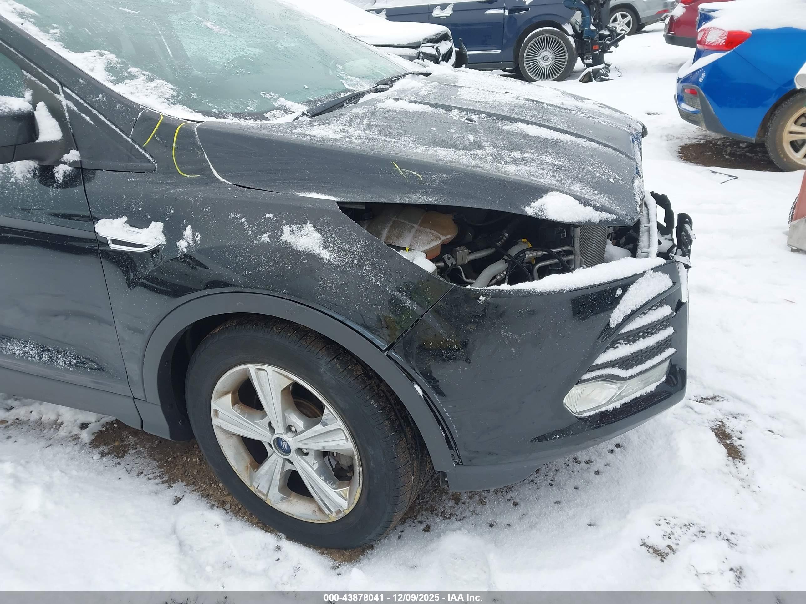 FORD ESCAPE image 2