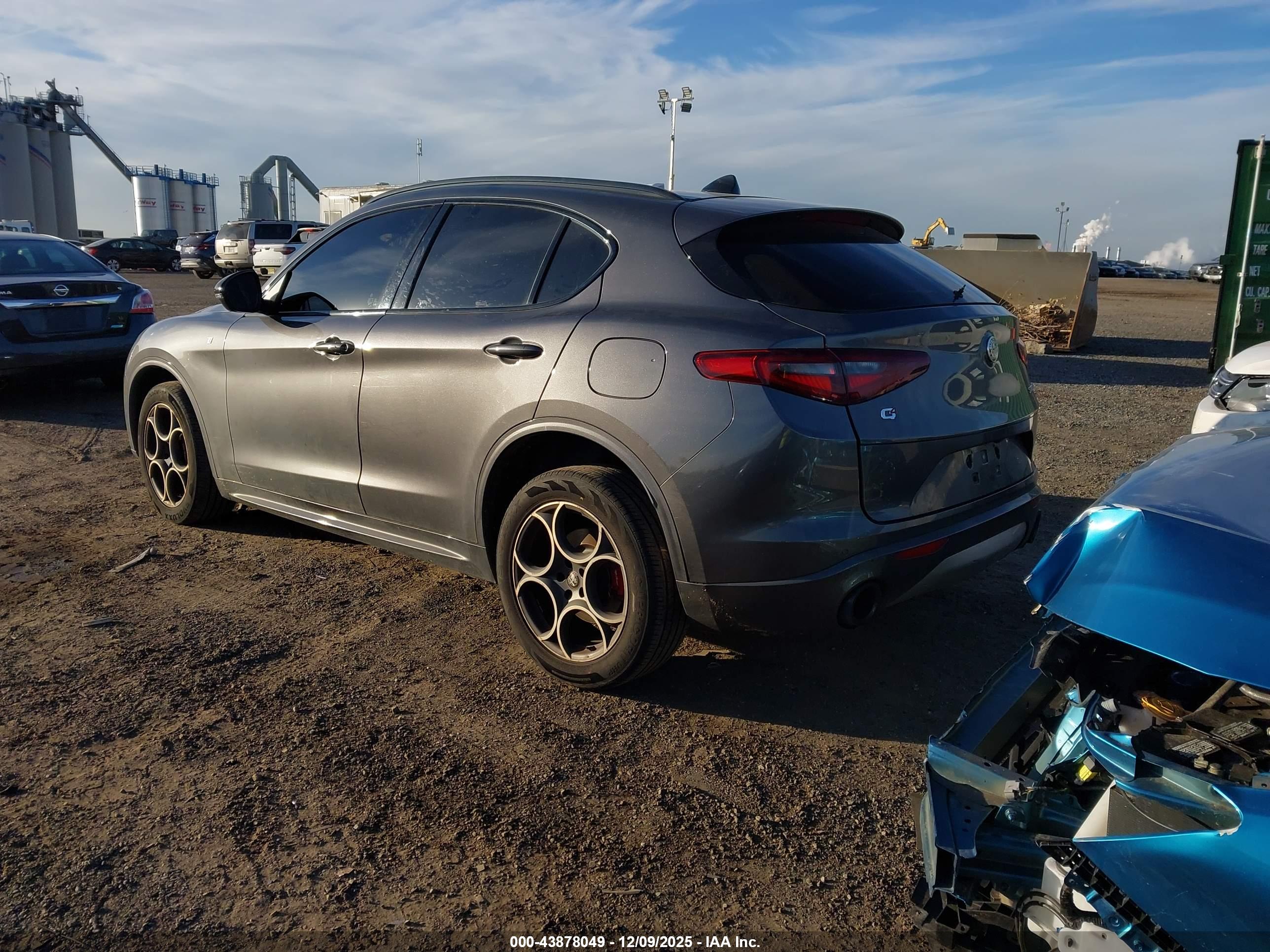 ALFA ROMEO image 3