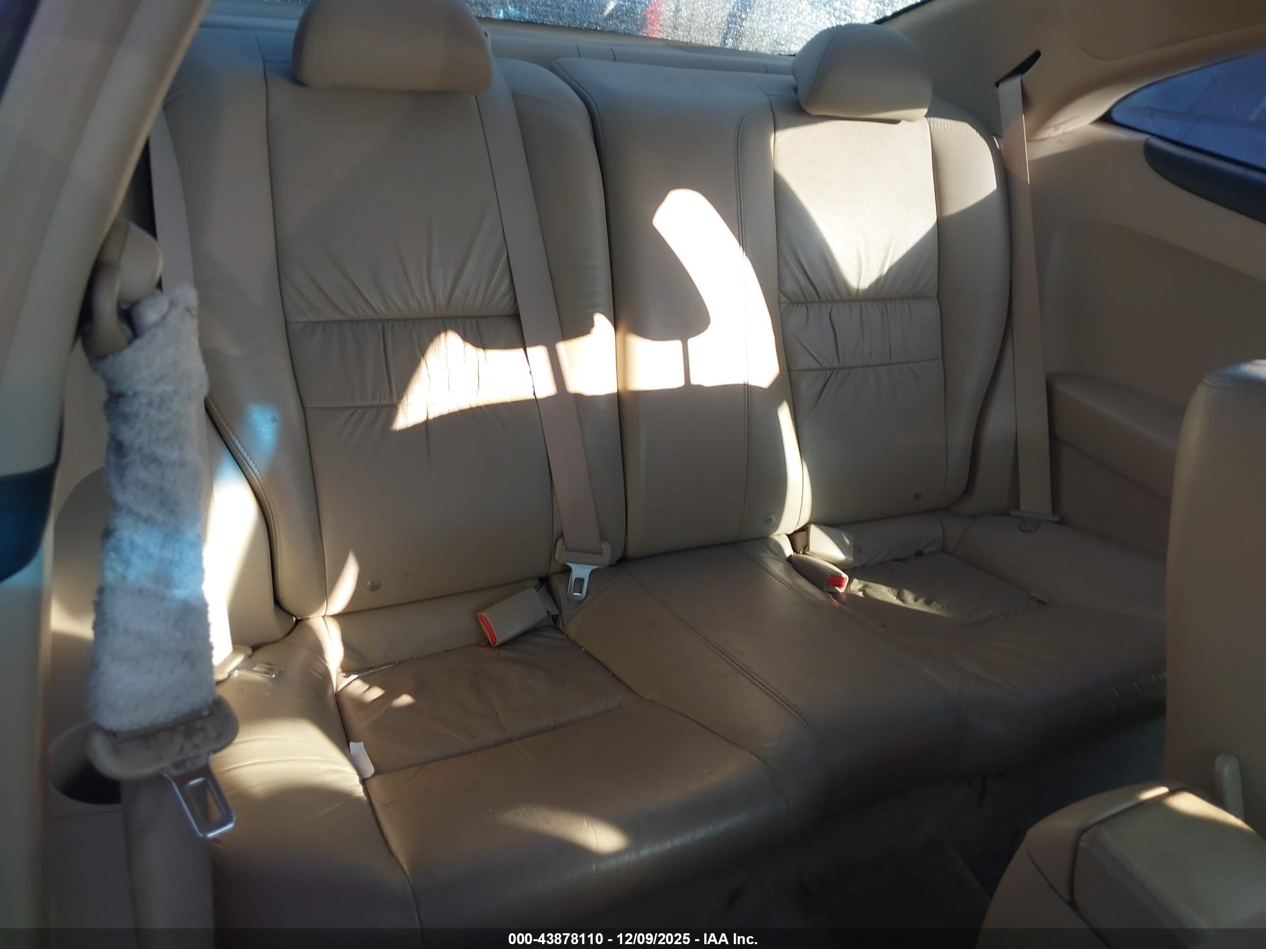 HONDA ACCORD image 8