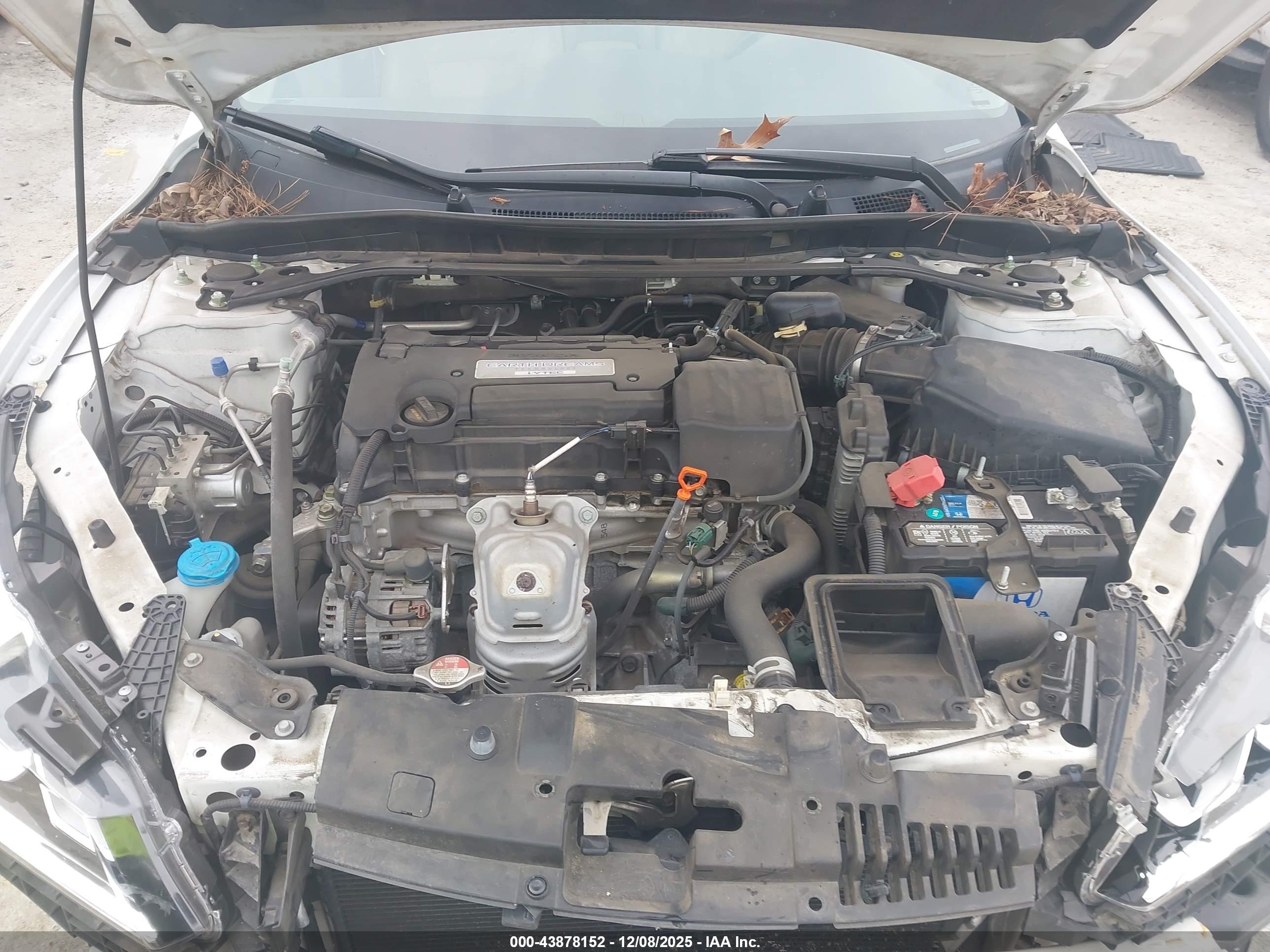 HONDA ACCORD image 10