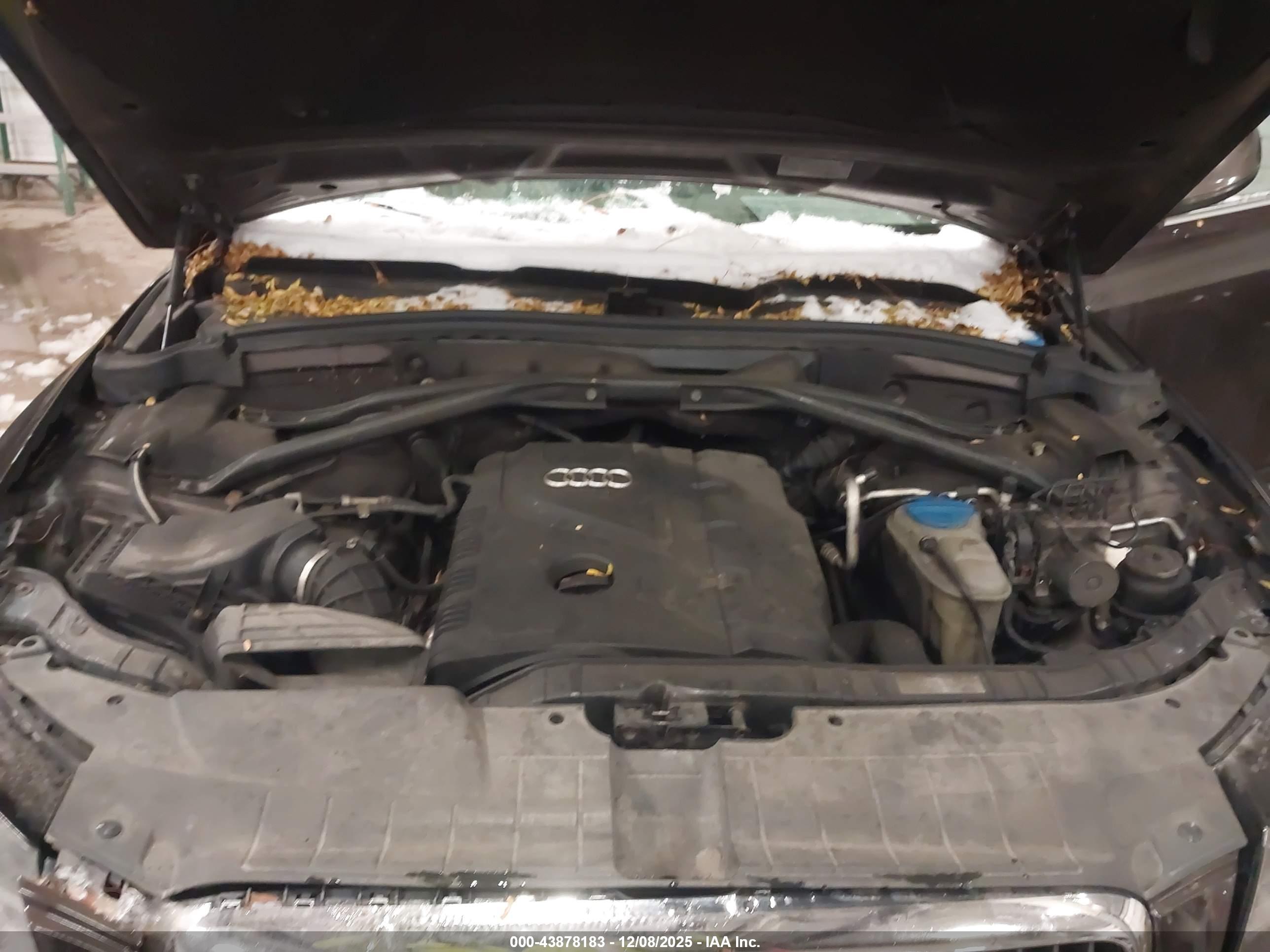 AUDI Q5 image 10
