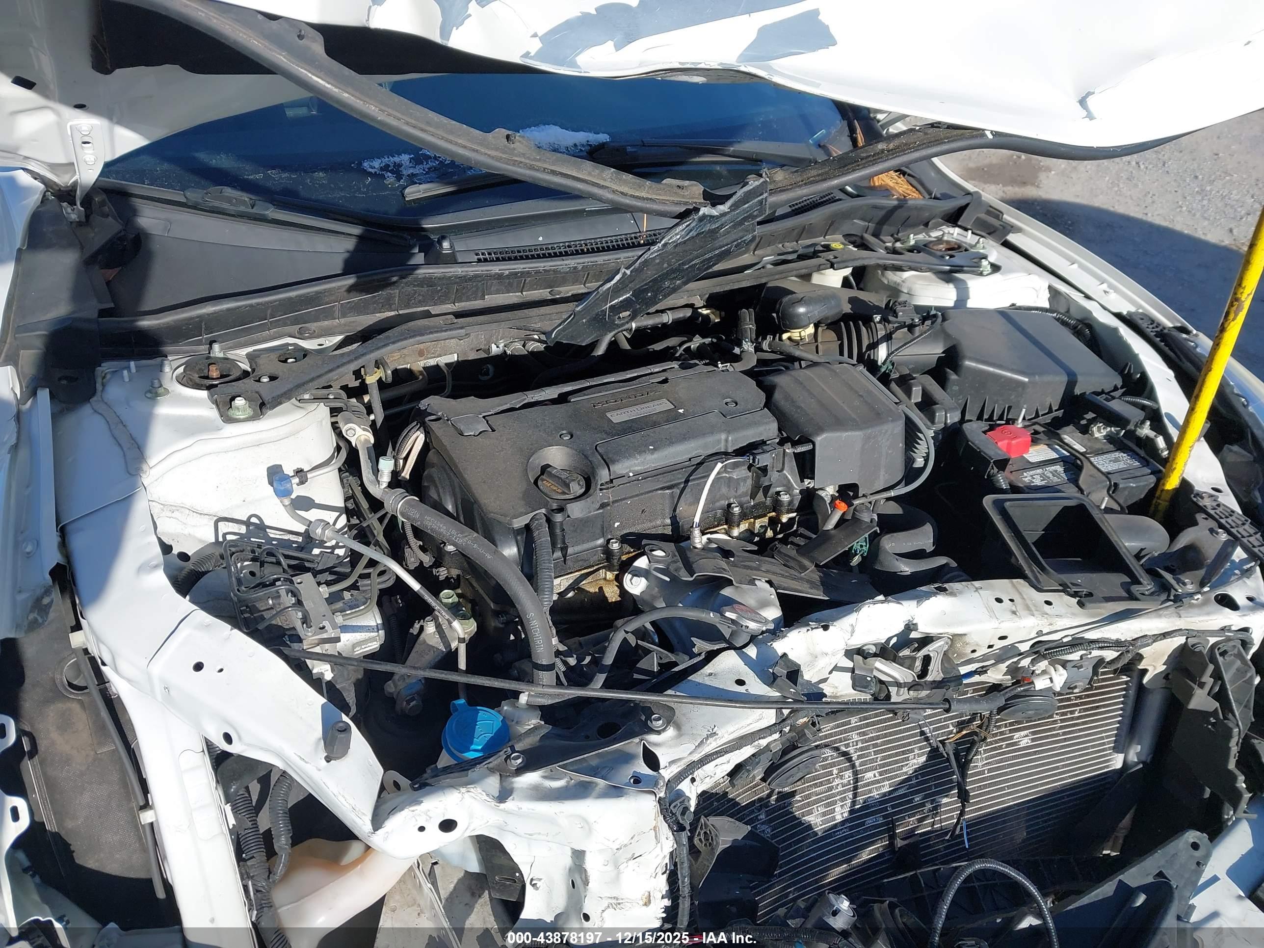 HONDA ACCORD image 10