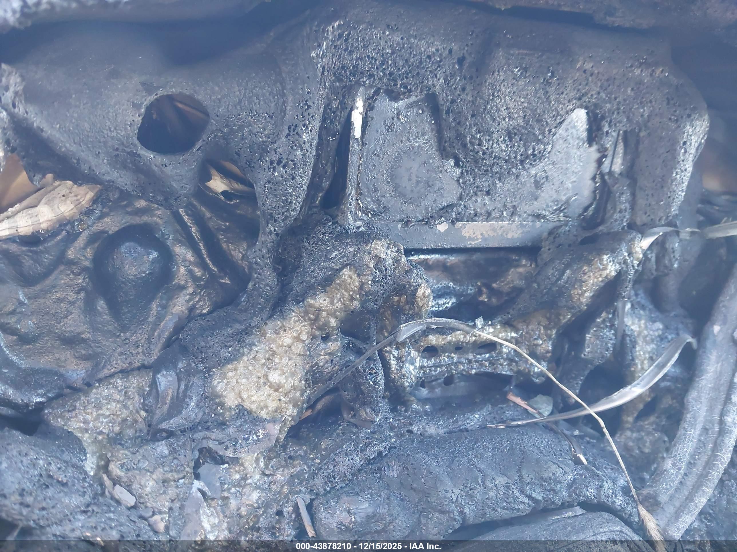FORD ESCAPE image 7