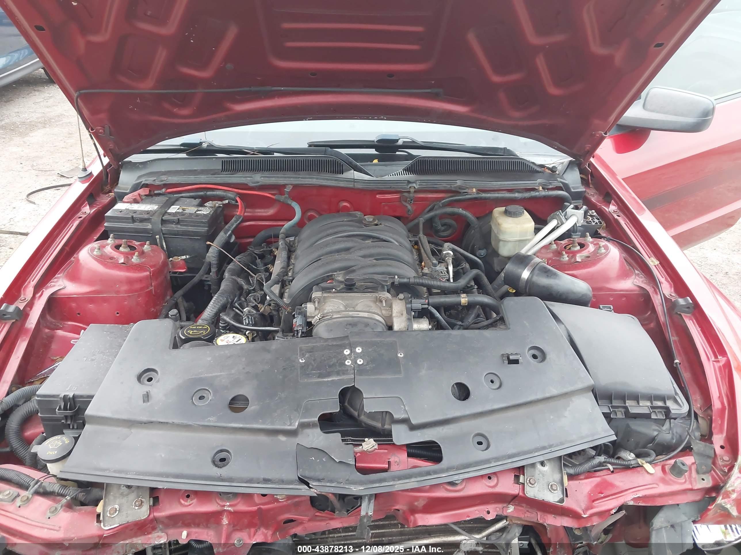 FORD MUSTANG image 10