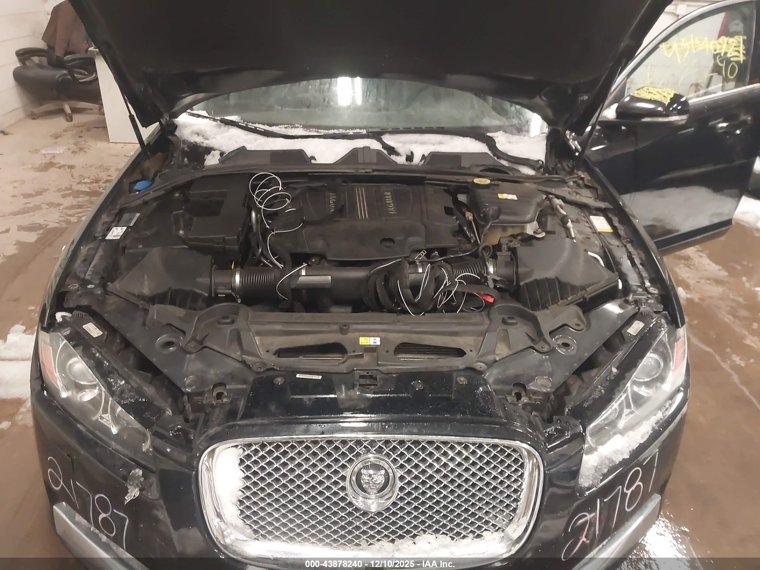 JAGUAR XF image 10