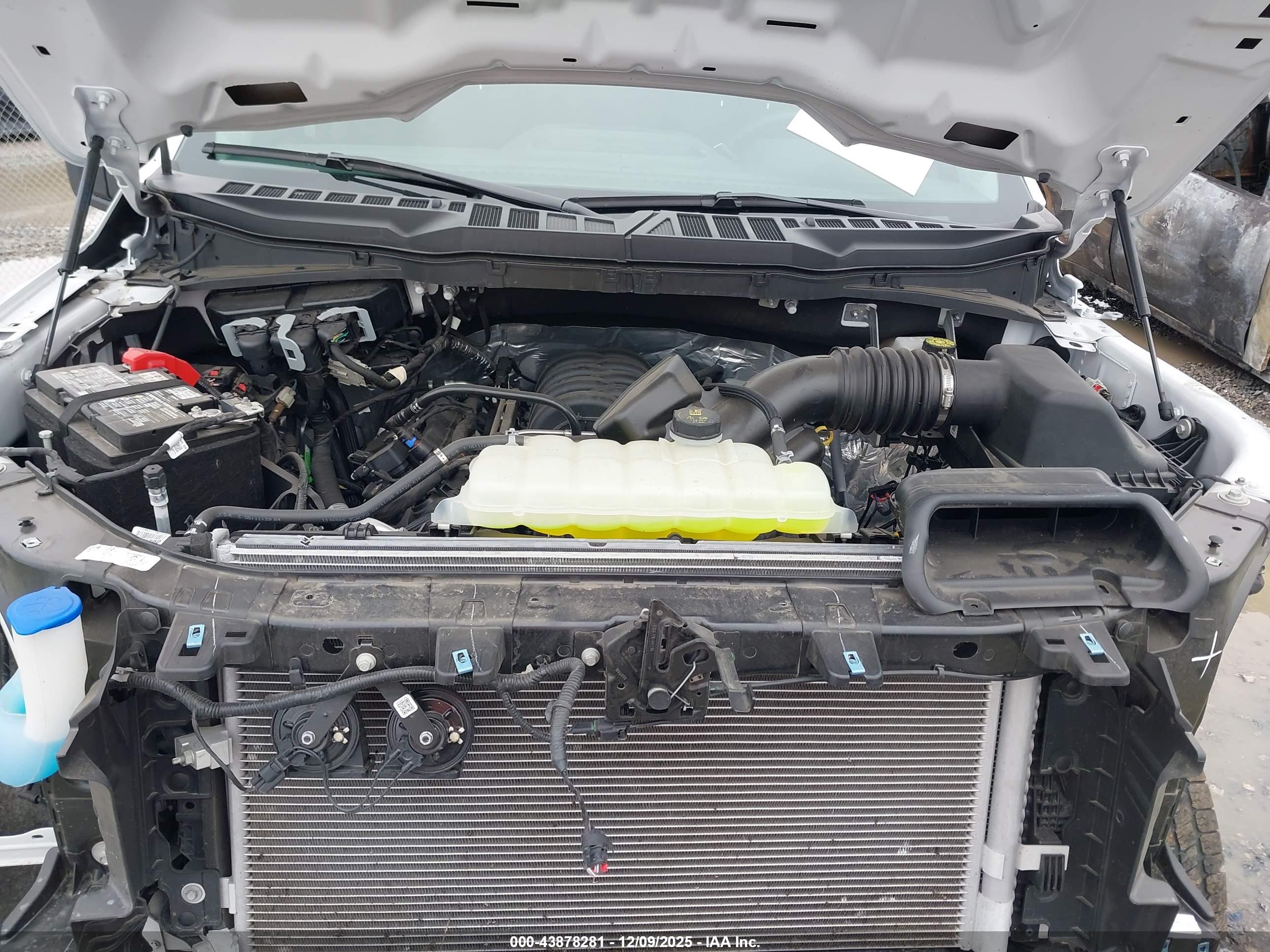 FORD F-150 image 10