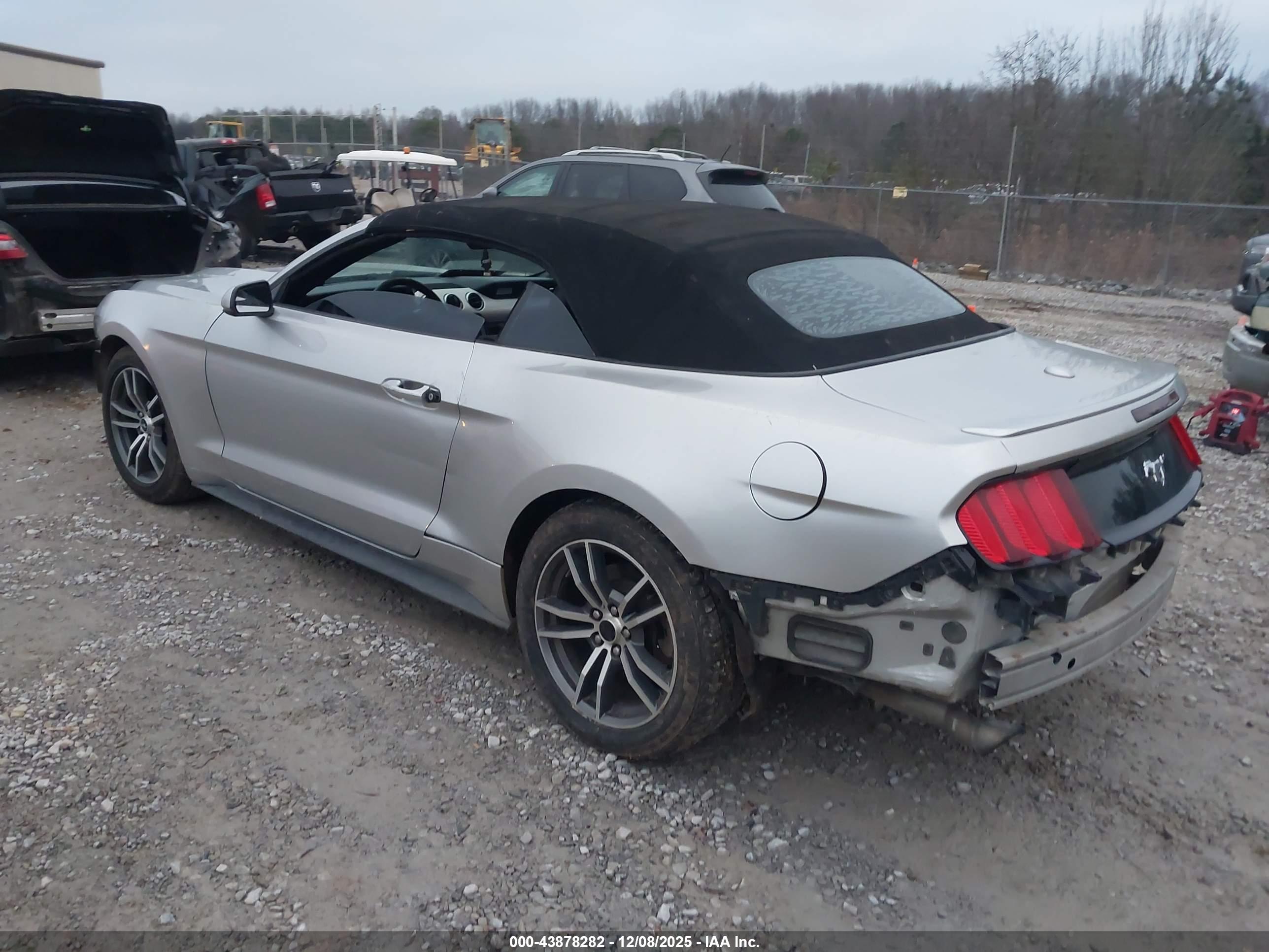 FORD MUSTANG image 3