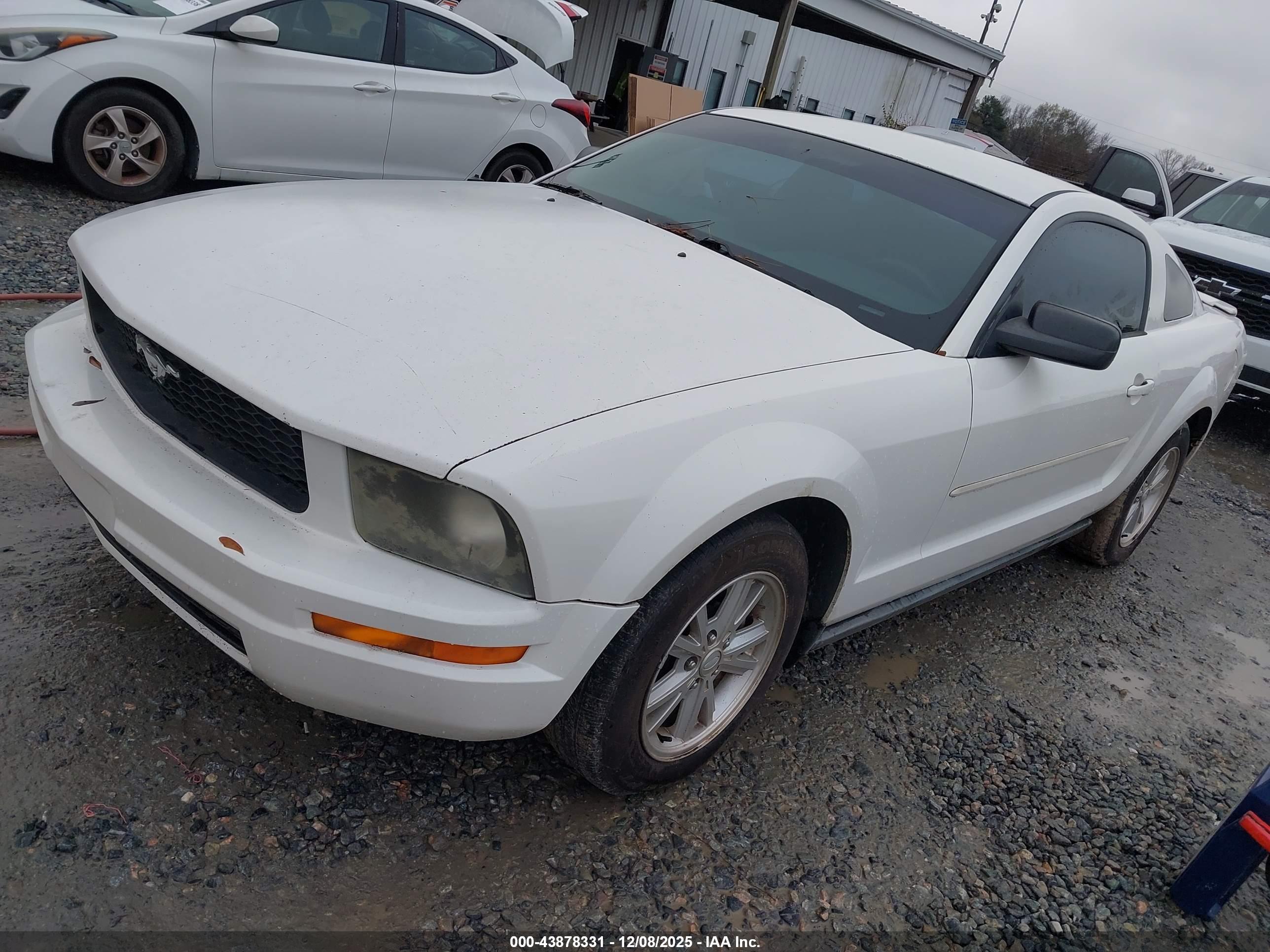 FORD MUSTANG image 2