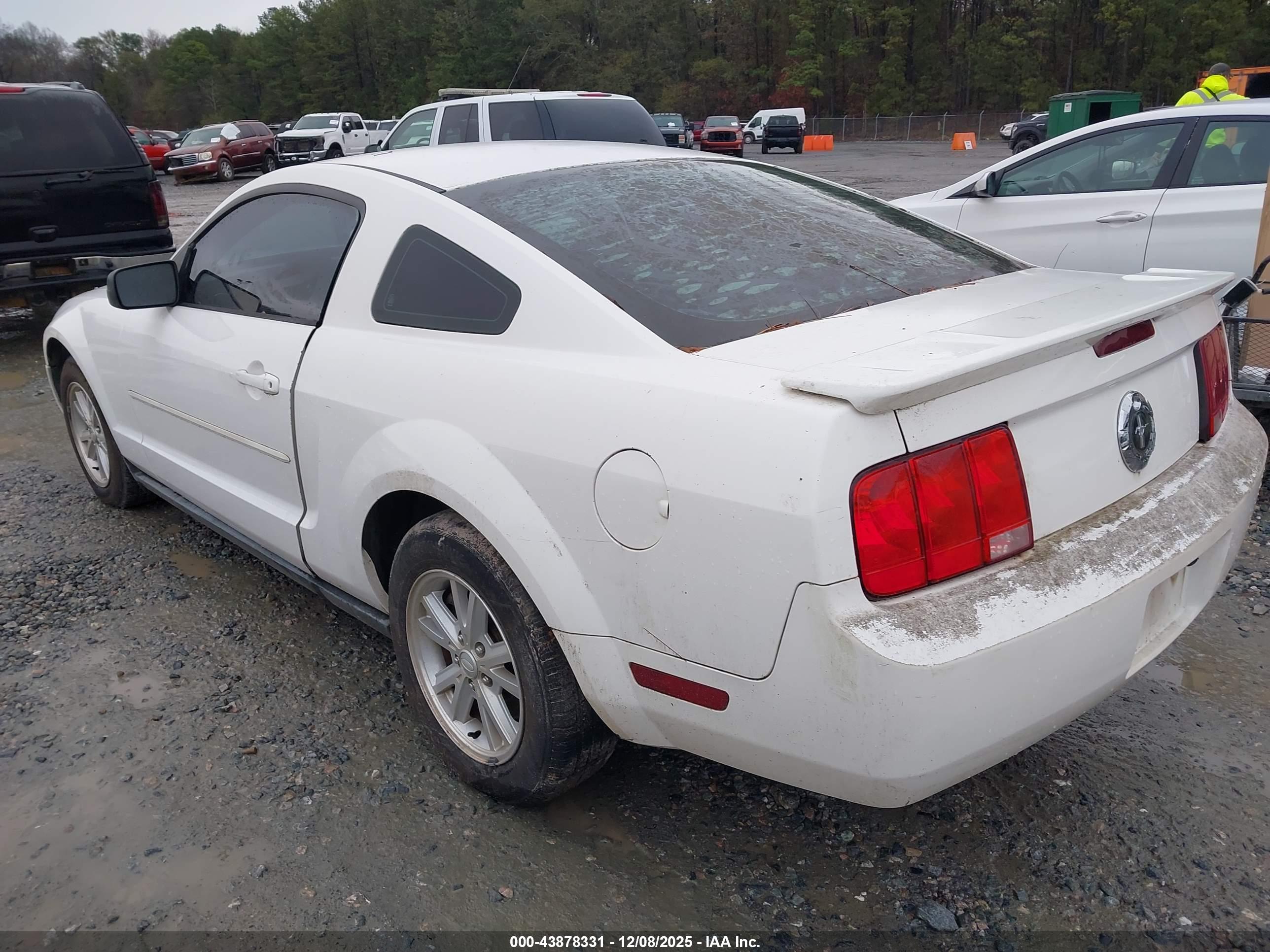 FORD MUSTANG image 3