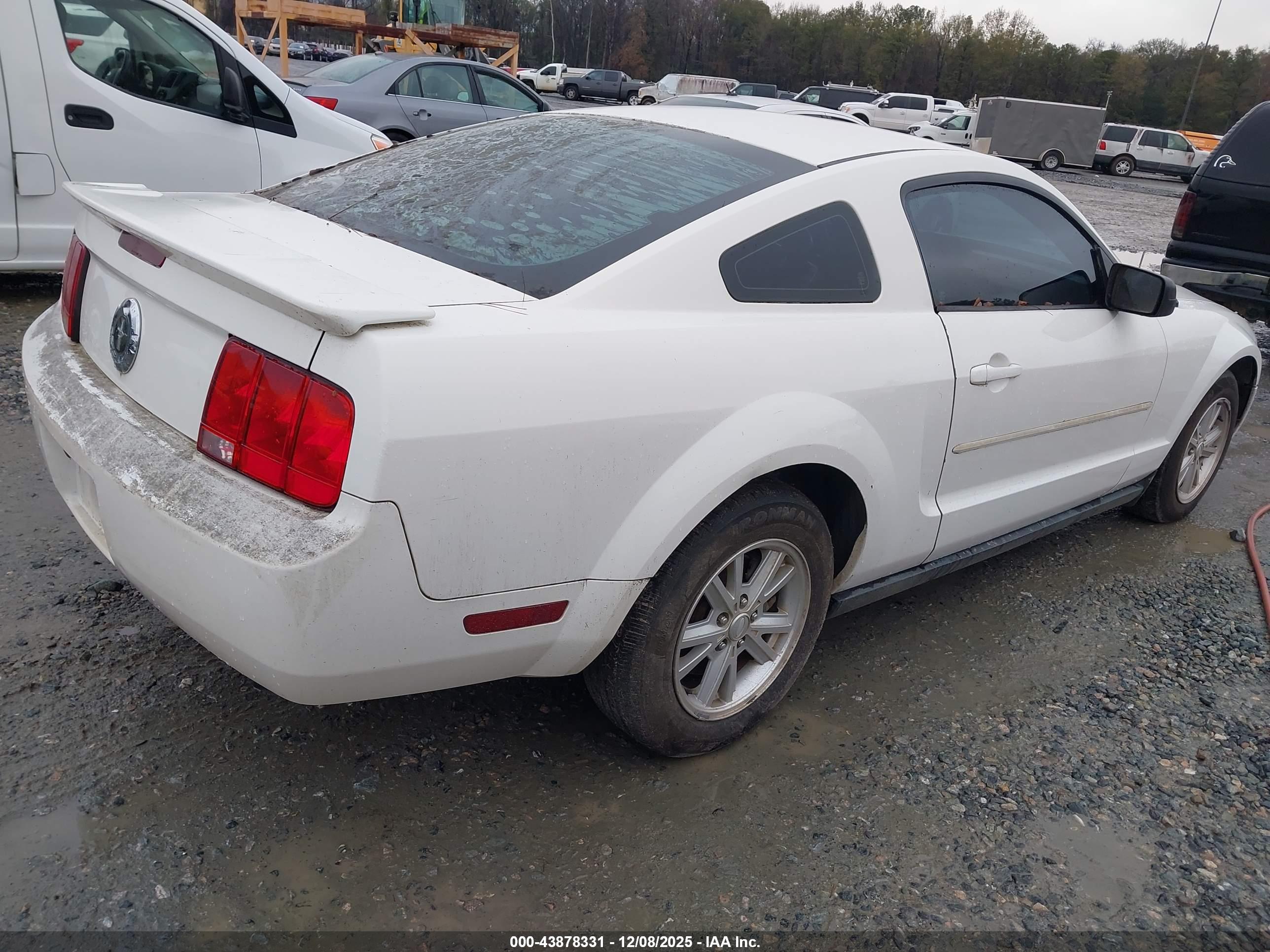 FORD MUSTANG image 4