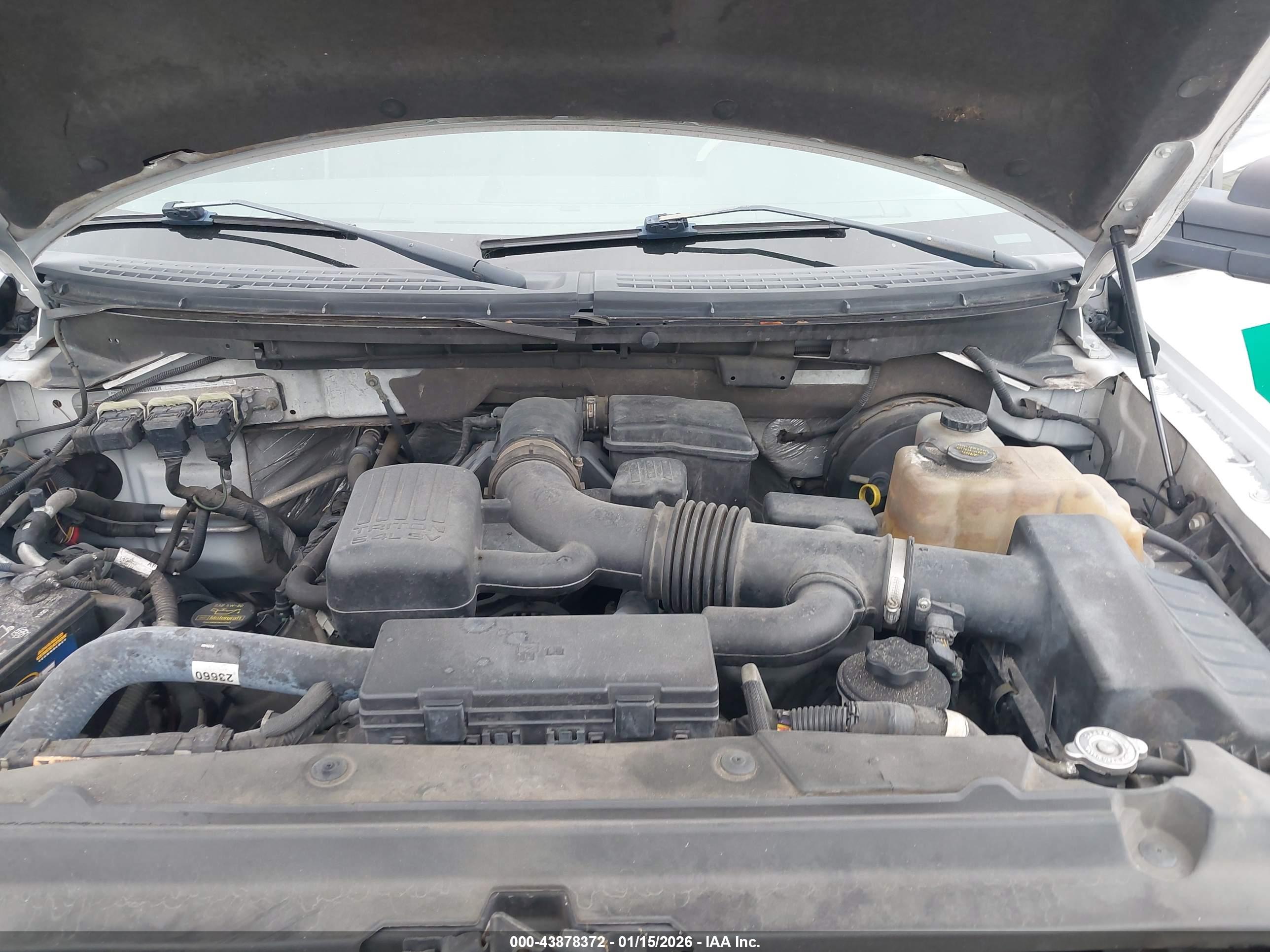 FORD F-150 image 10