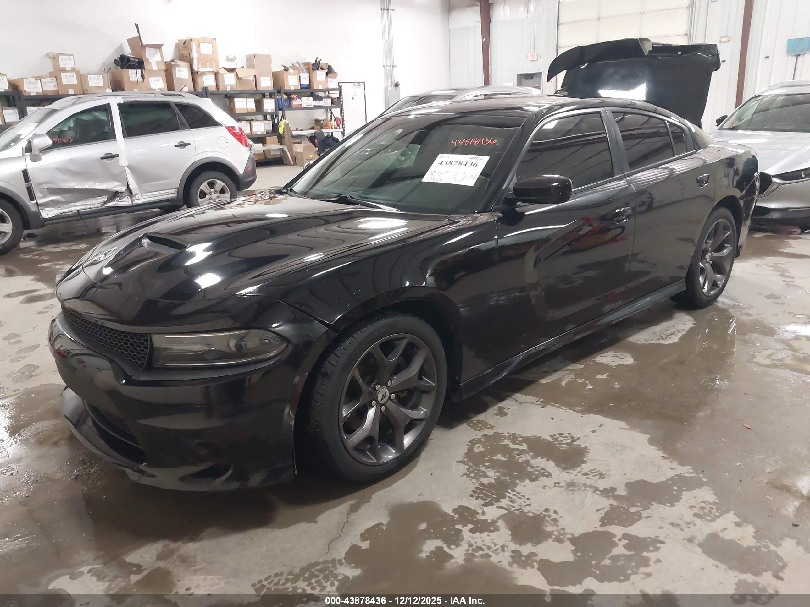DODGE CHARGER image 2