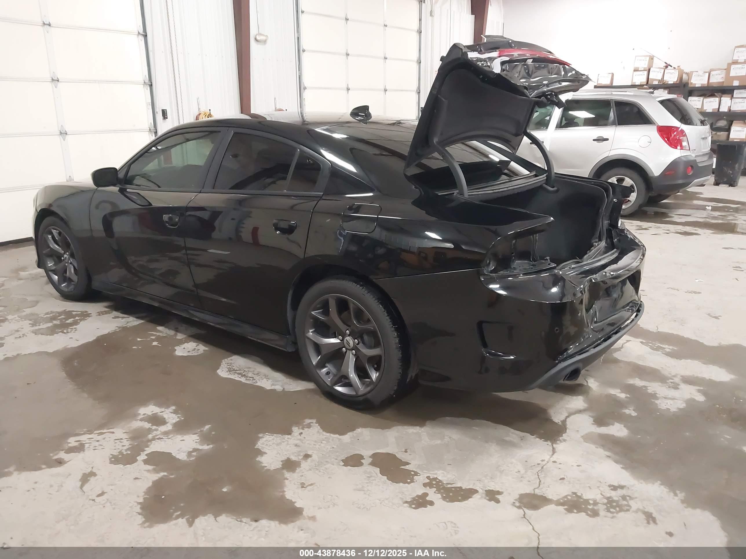 DODGE CHARGER image 3