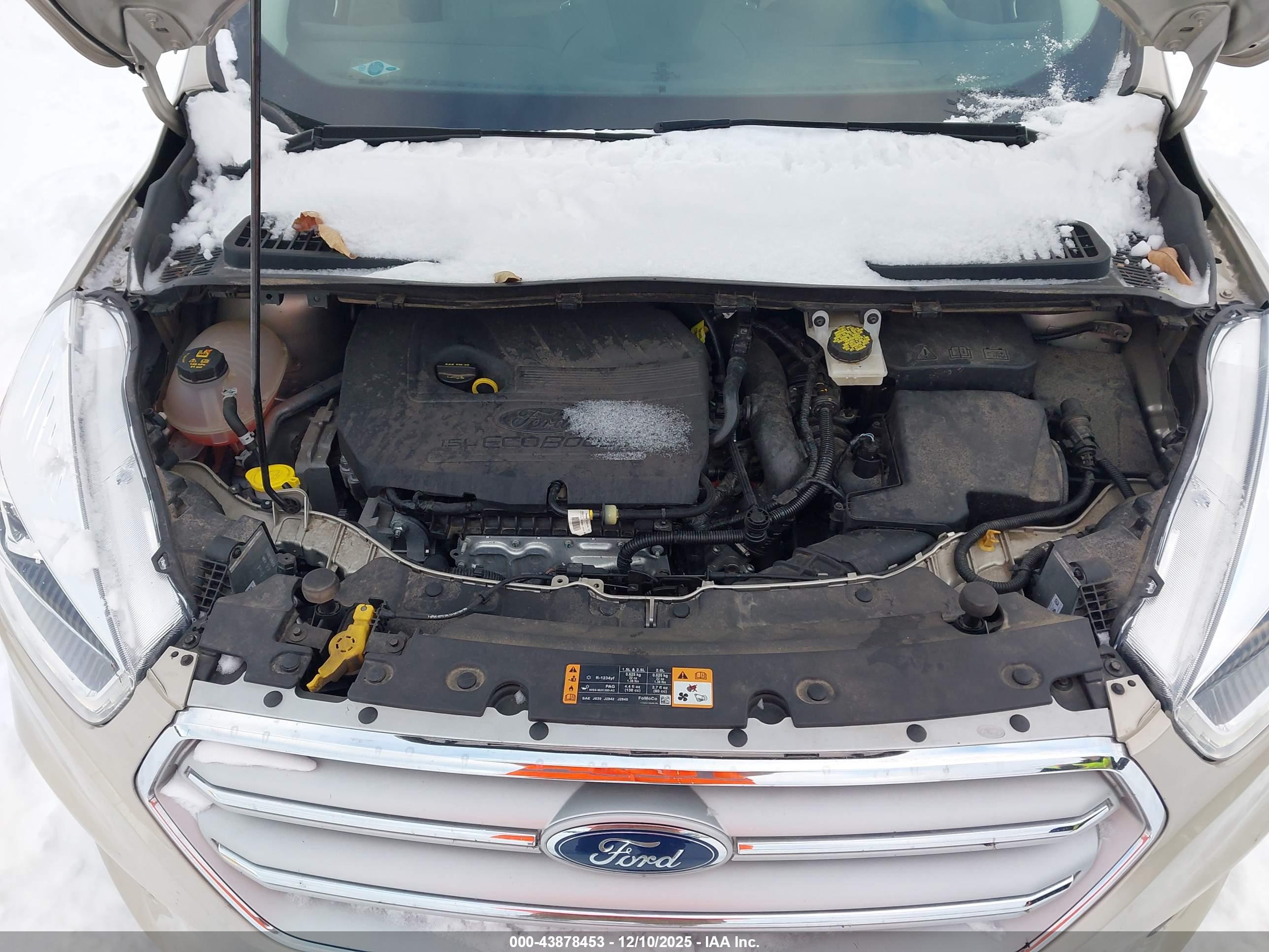FORD ESCAPE image 10