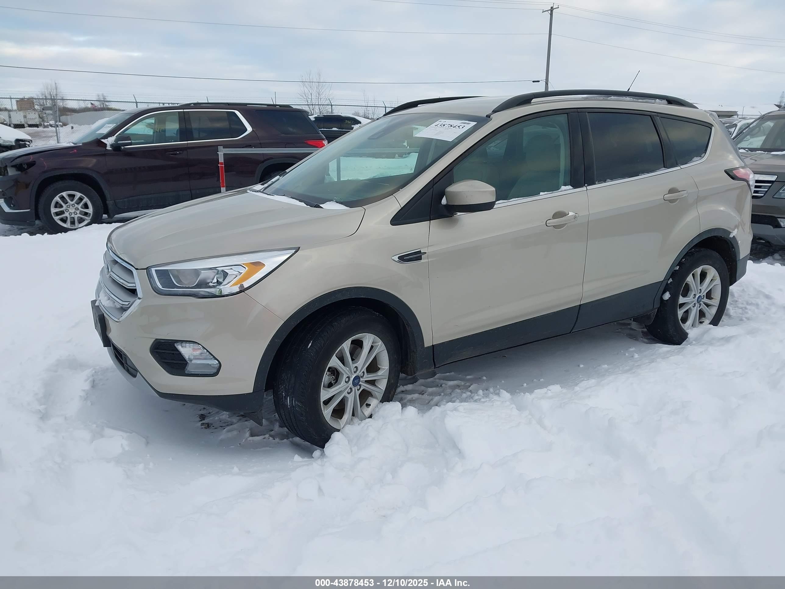 FORD ESCAPE image 2