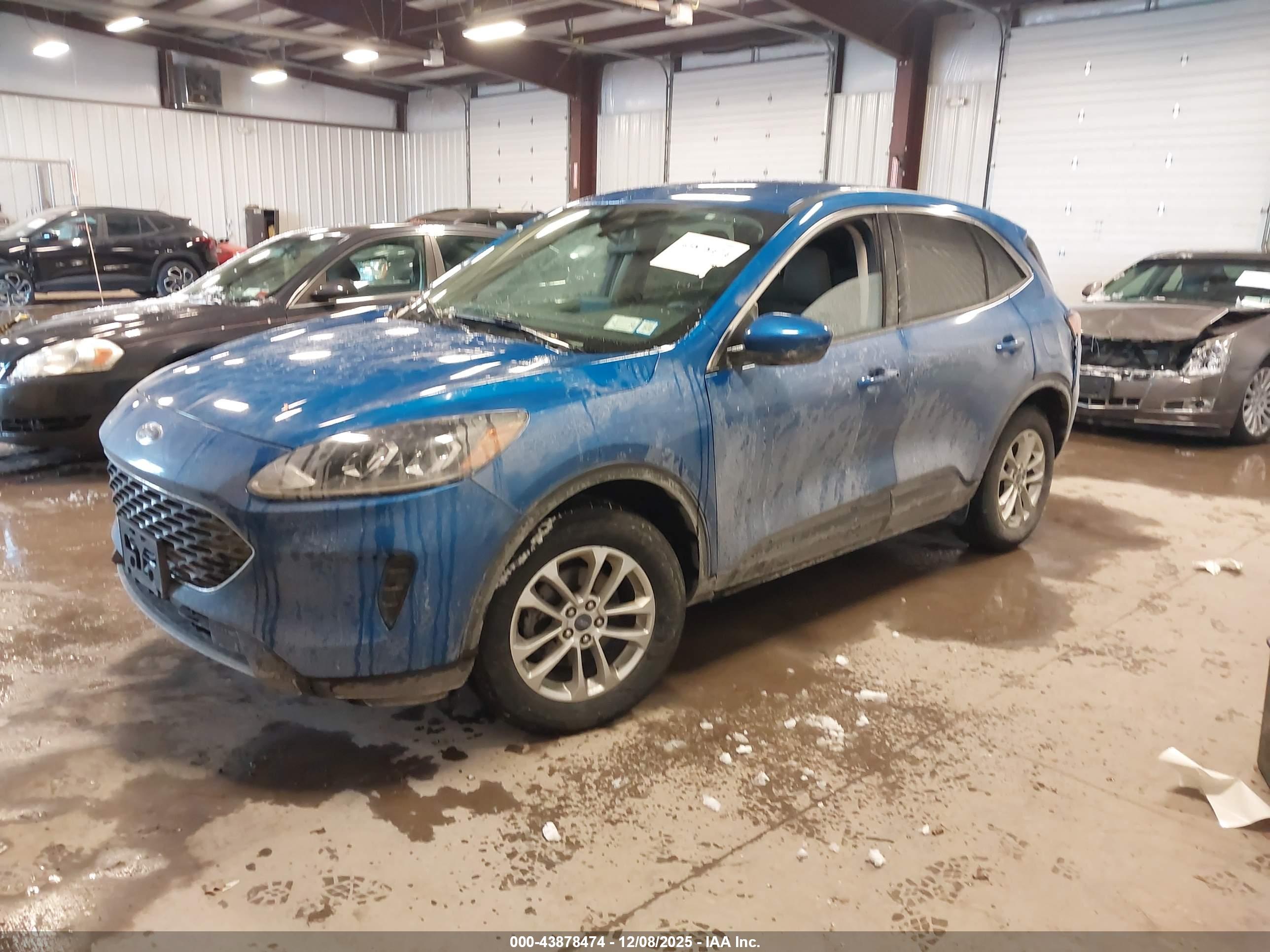 FORD ESCAPE image 2