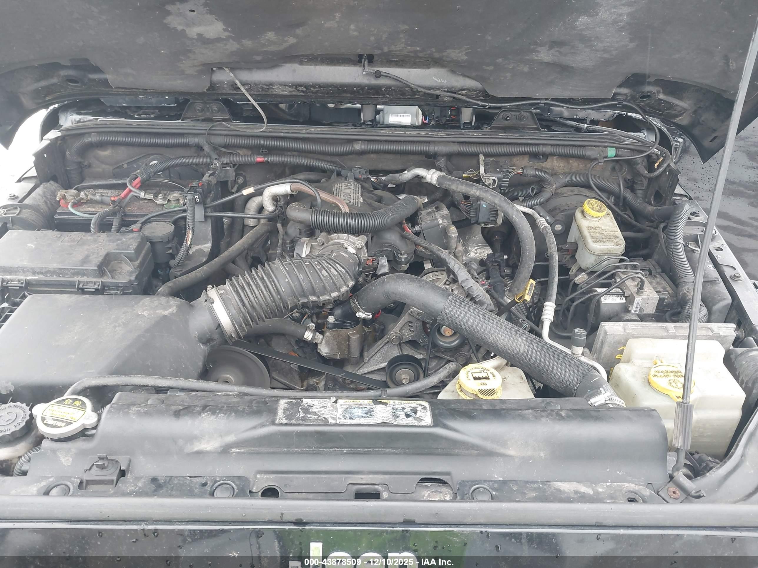 JEEP WRANGLER image 10